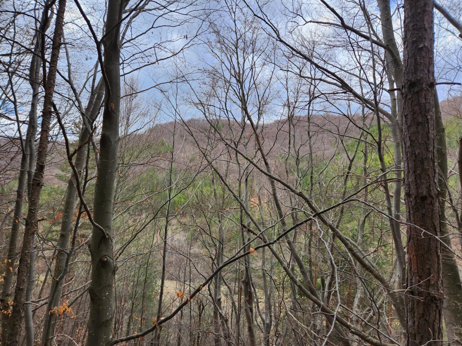 The Dark Side of Vitosha: The Eco-Trail from Chuypetlovo to Smilyo Shelter