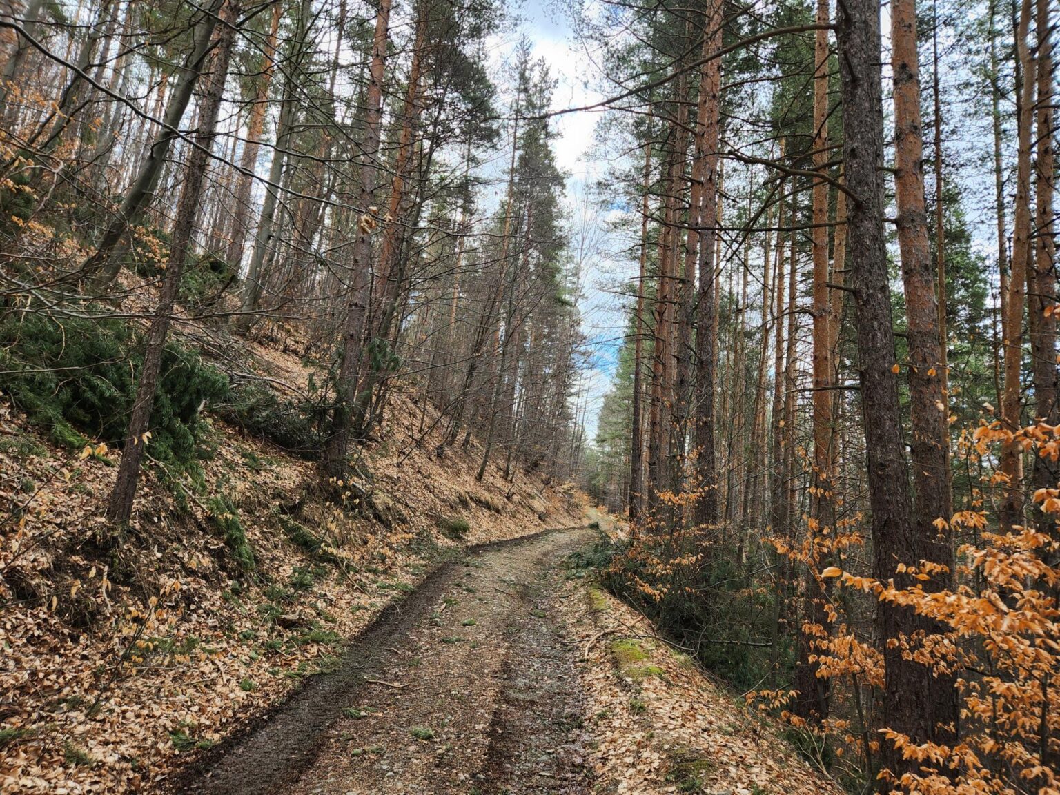 The Dark Side of Vitosha: The Eco-Trail from Chuypetlovo to Smilyo Shelter