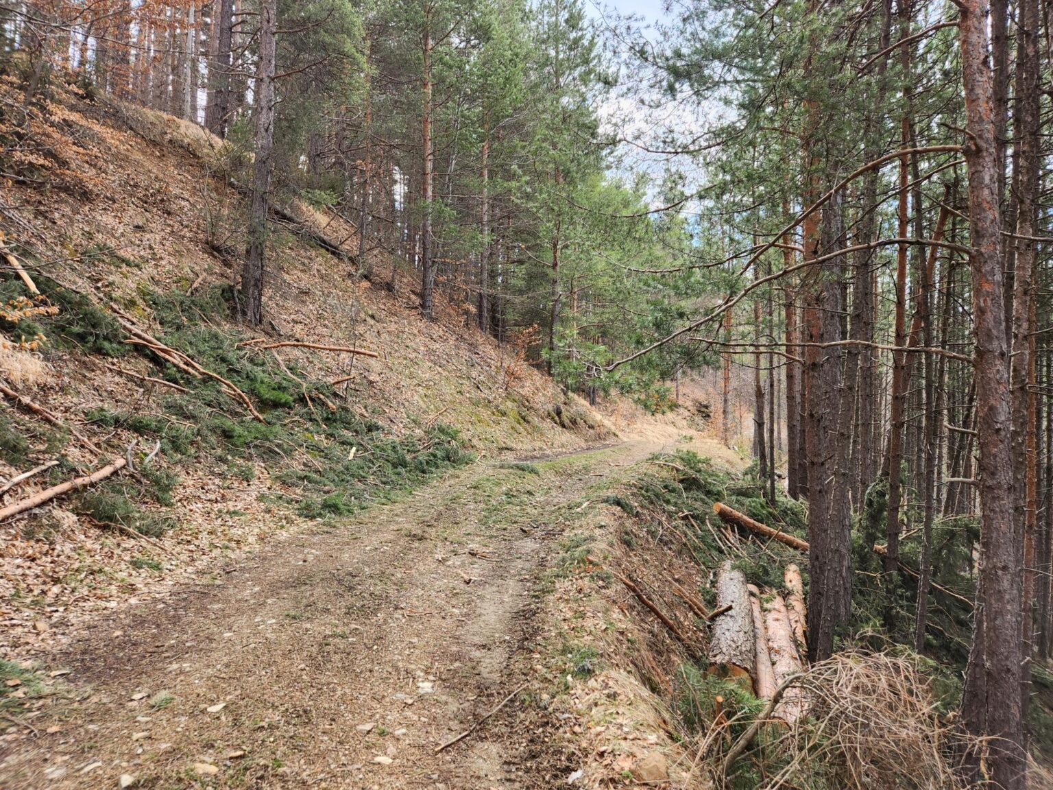 The Dark Side of Vitosha: The Eco-Trail from Chuypetlovo to Smilyo Shelter
