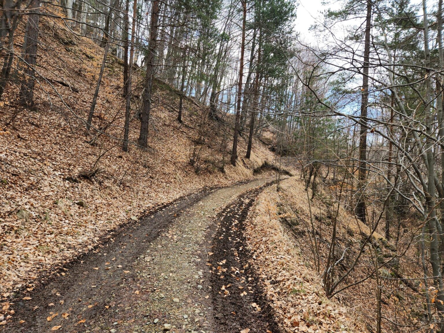 The Dark Side of Vitosha: The Eco-Trail from Chuypetlovo to Smilyo Shelter