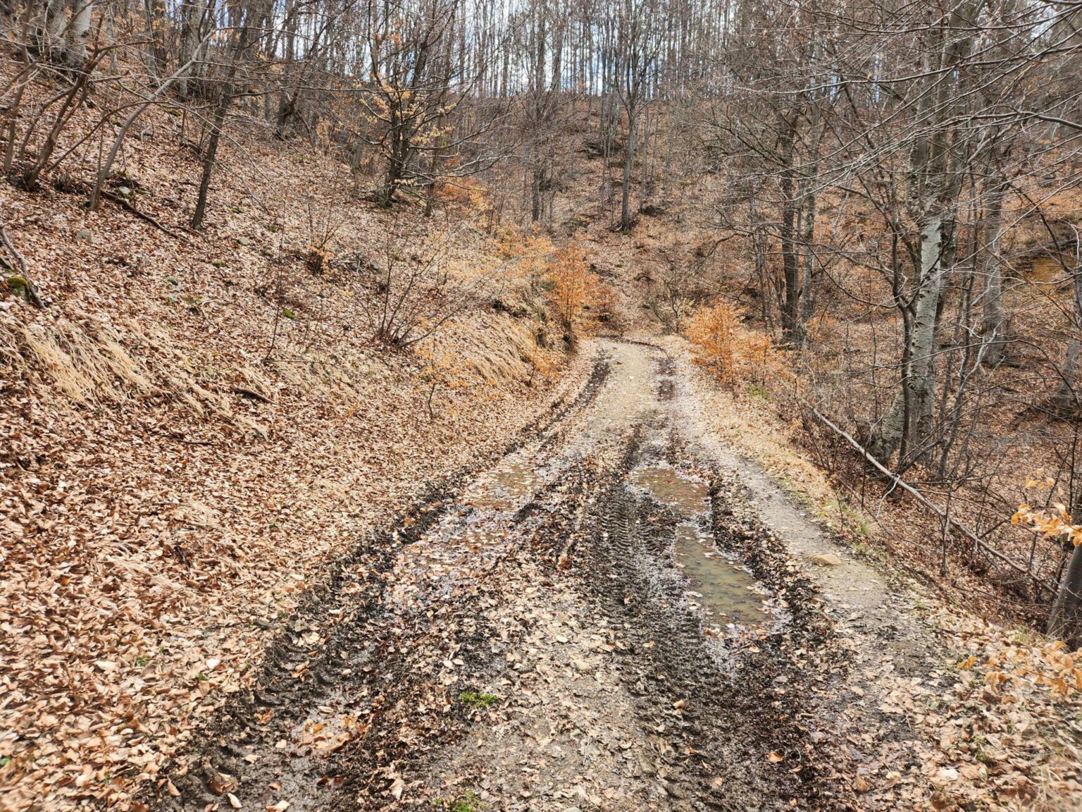 The Dark Side of Vitosha: The Eco-Trail from Chuypetlovo to Smilyo Shelter