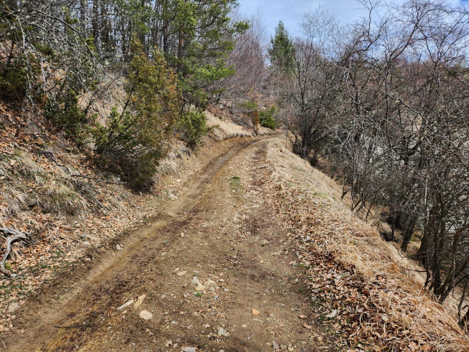 The Dark Side of Vitosha: The Eco-Trail from Chuypetlovo to Smilyo Shelter