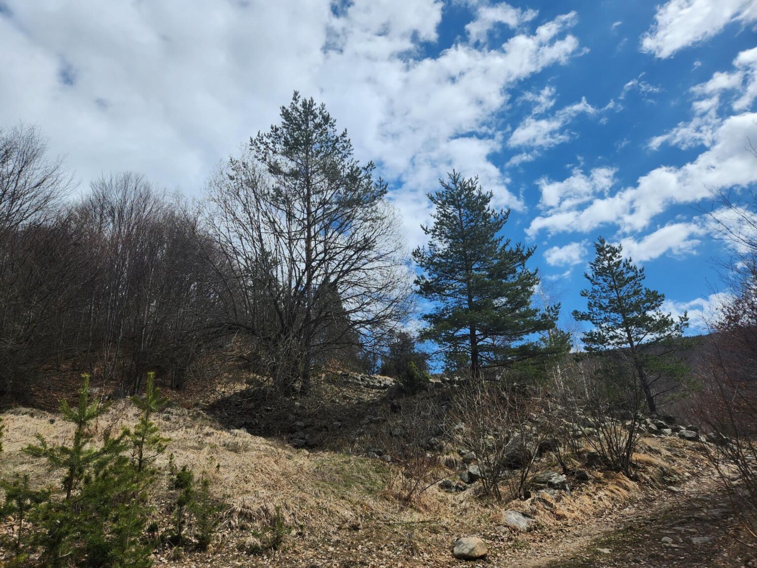 The Dark Side of Vitosha: The Eco-Trail from Chuypetlovo to Smilyo Shelter