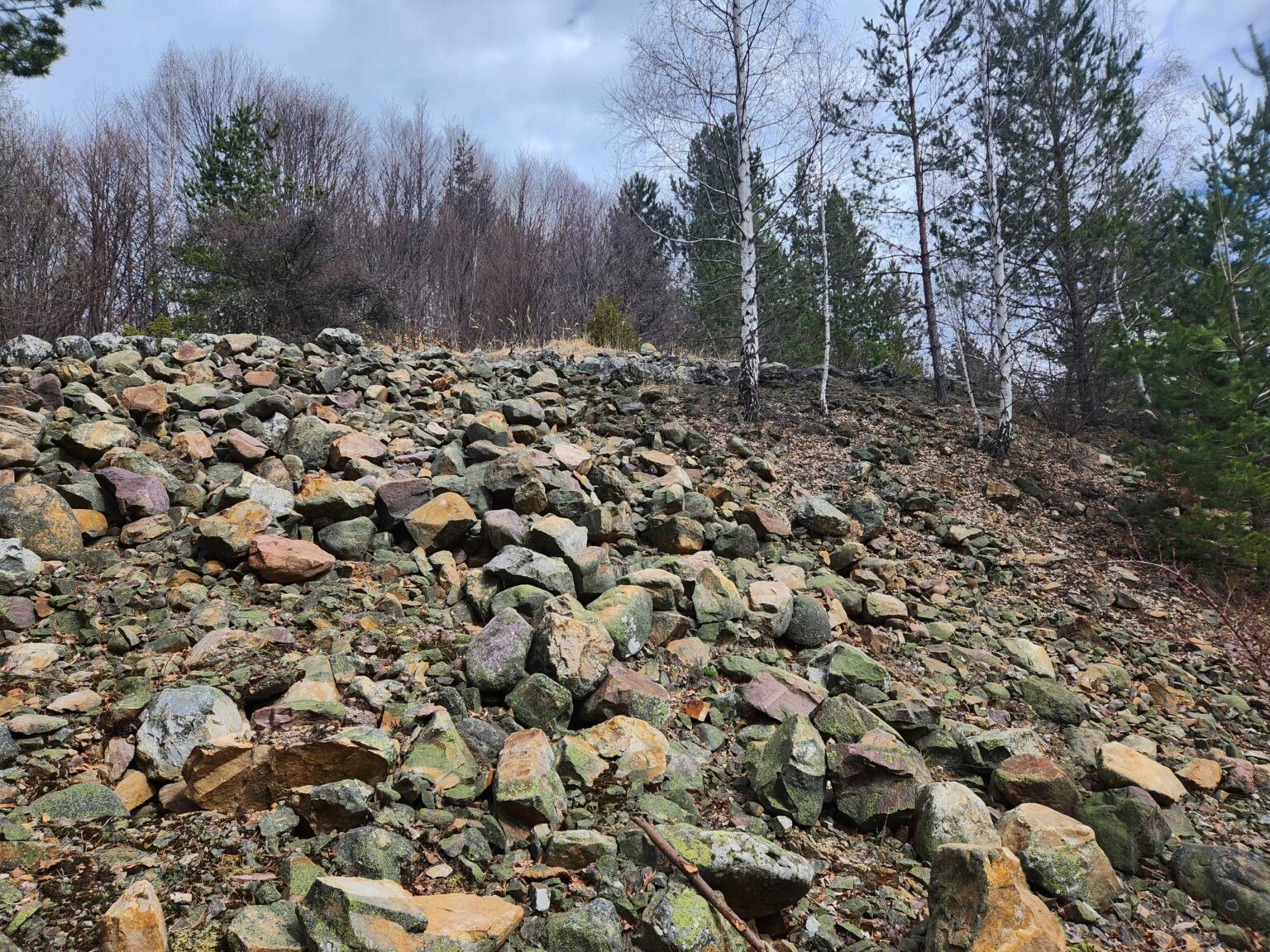 The Dark Side of Vitosha: The Eco-Trail from Chuypetlovo to Smilyo Shelter