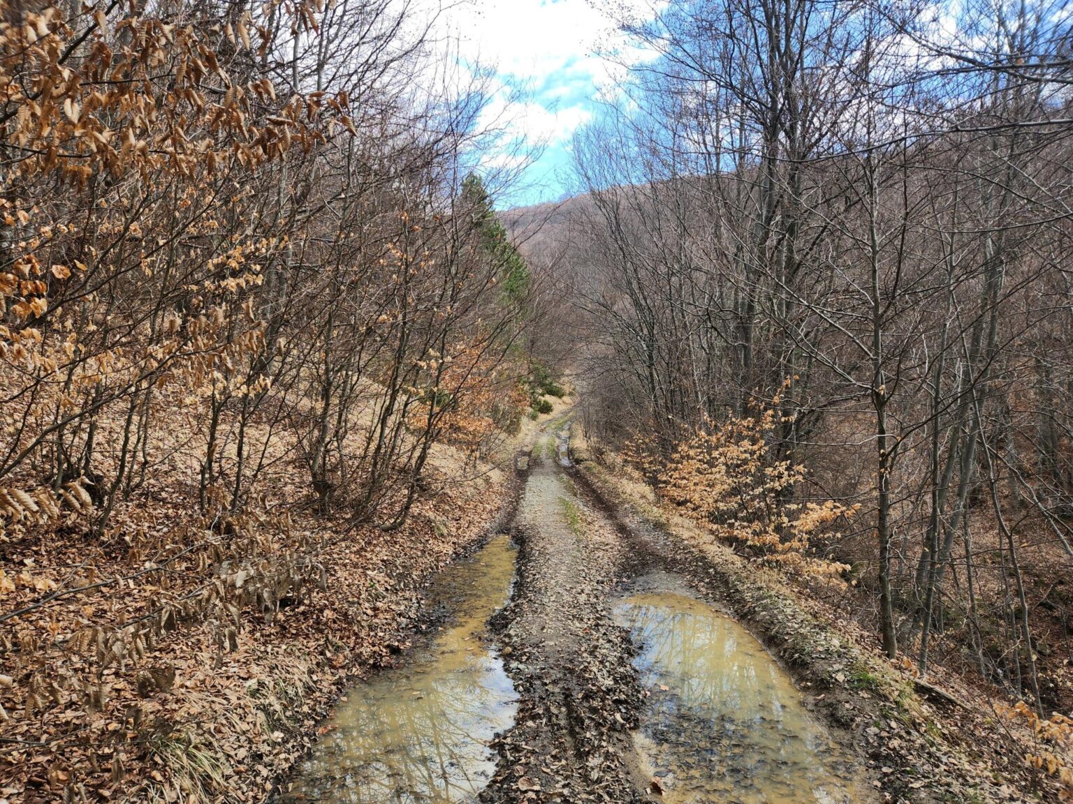 The Dark Side of Vitosha: The Eco-Trail from Chuypetlovo to Smilyo Shelter