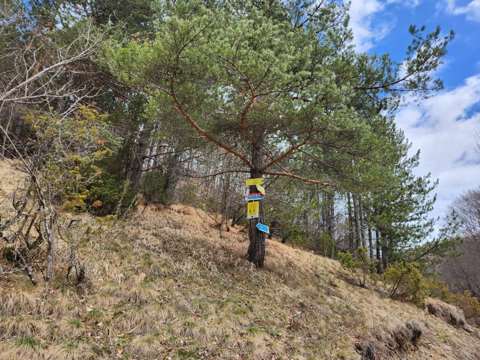 The Dark Side of Vitosha: The Eco-Trail from Chuypetlovo to Smilyo Shelter