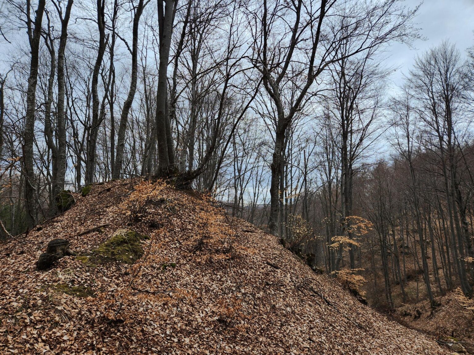 The Dark Side of Vitosha: The Eco-Trail from Chuypetlovo to Smilyo Shelter