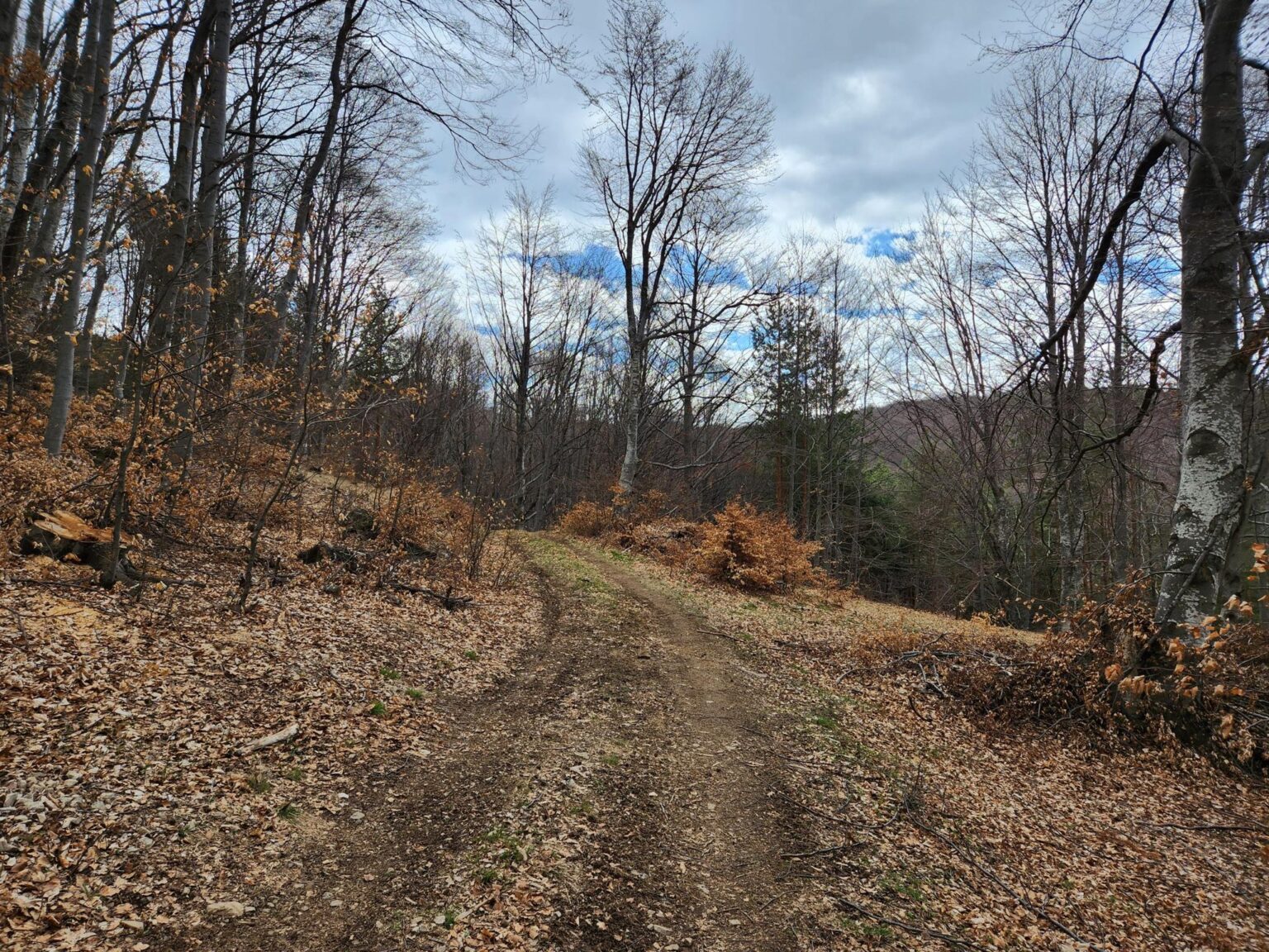 The Dark Side of Vitosha: The Eco-Trail from Chuypetlovo to Smilyo Shelter