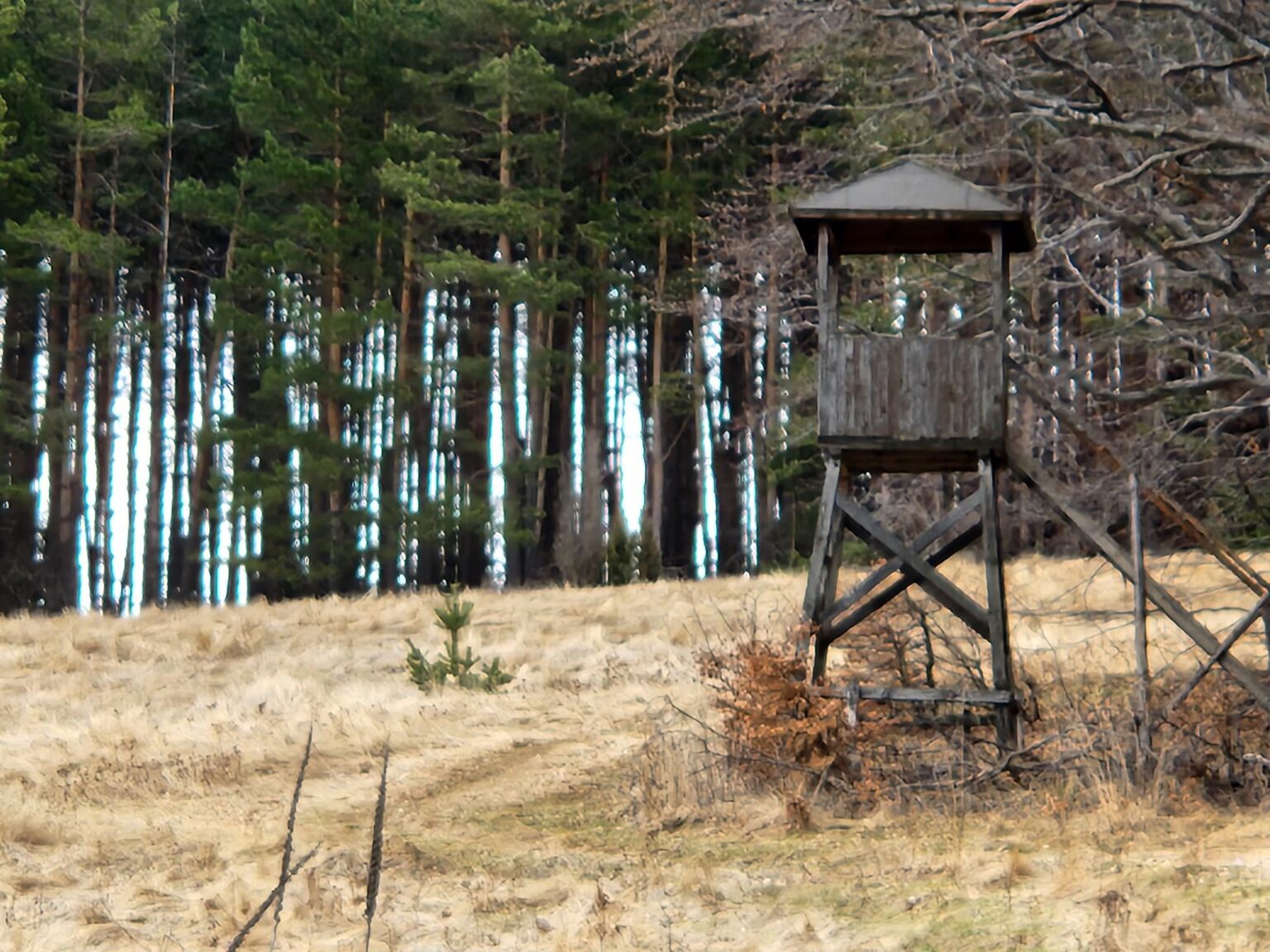 The Dark Side of Vitosha: The Eco-Trail from Chuypetlovo to Smilyo Shelter