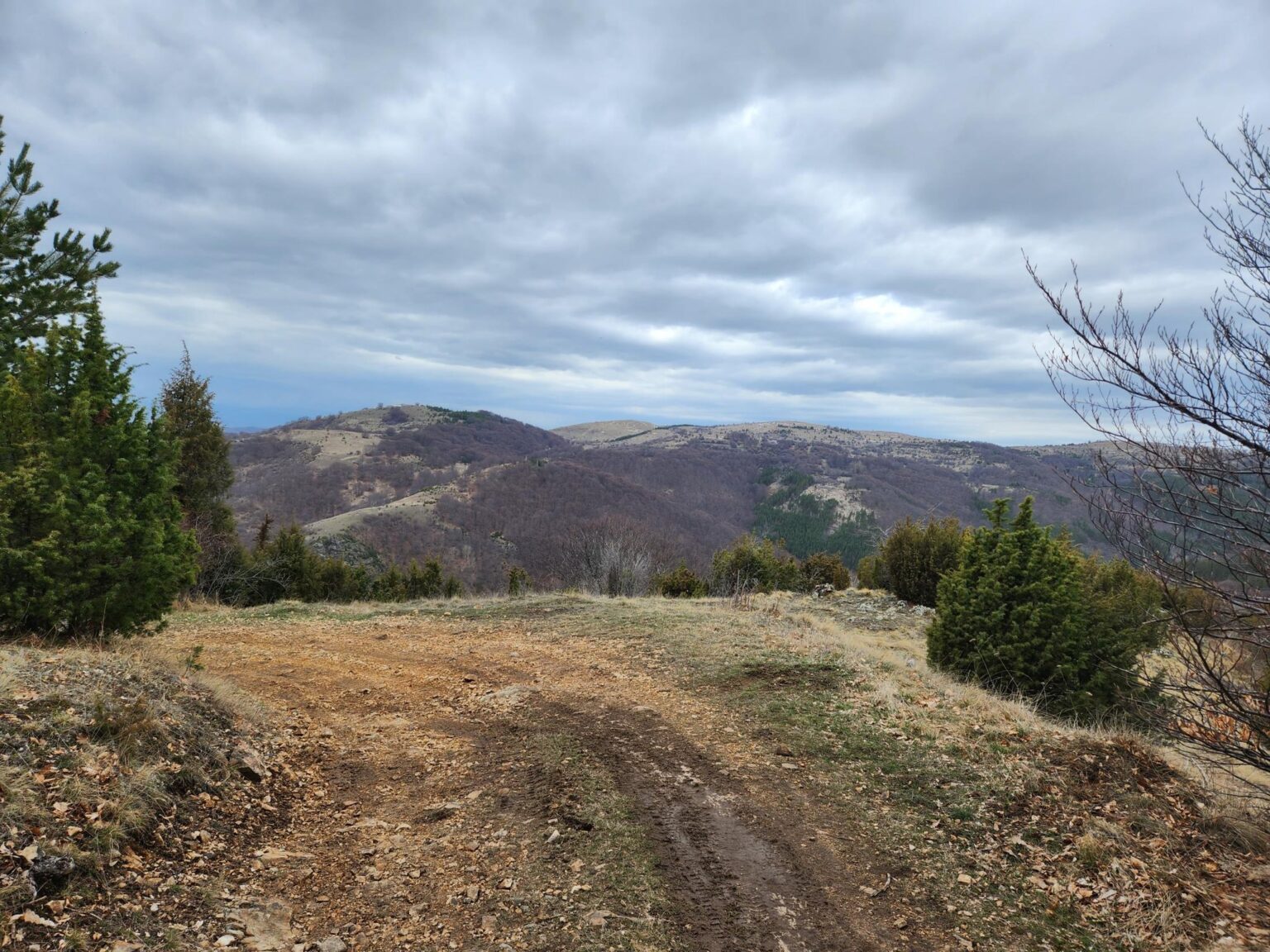The Dark Side of Vitosha: The Eco-Trail from Chuypetlovo to Smilyo Shelter