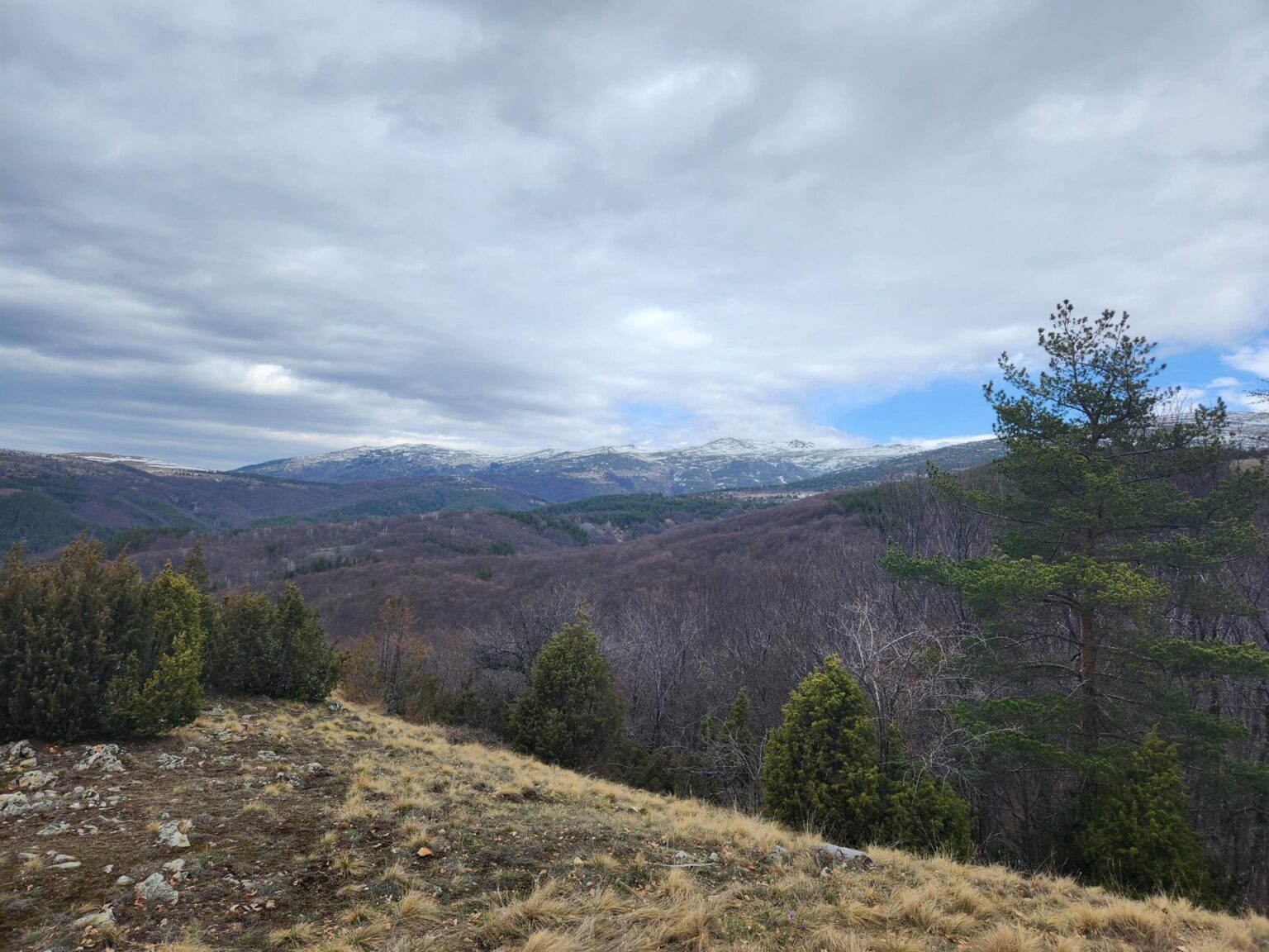 The Dark Side of Vitosha: The Eco-Trail from Chuypetlovo to Smilyo Shelter