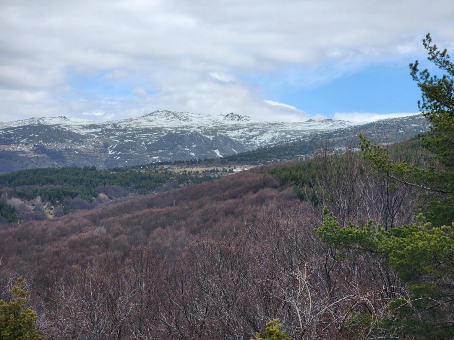 The Dark Side of Vitosha: The Eco-Trail from Chuypetlovo to Smilyo Shelter