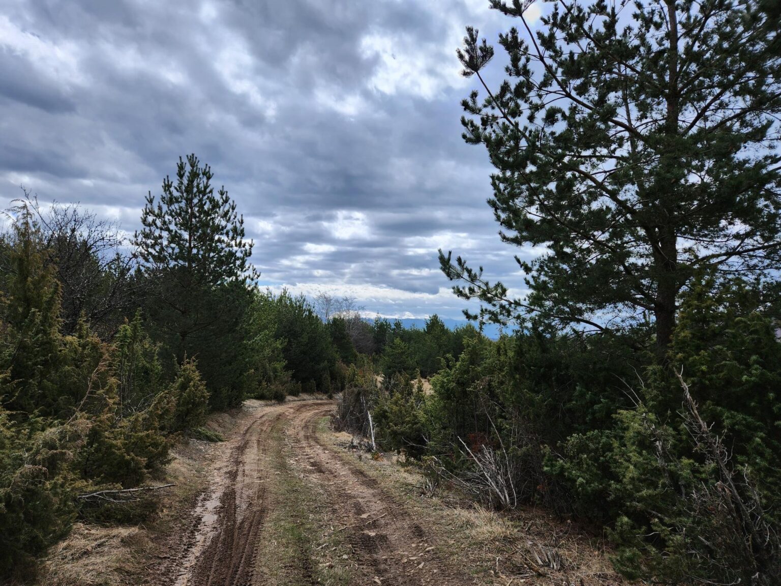 The Dark Side of Vitosha: The Eco-Trail from Chuypetlovo to Smilyo Shelter