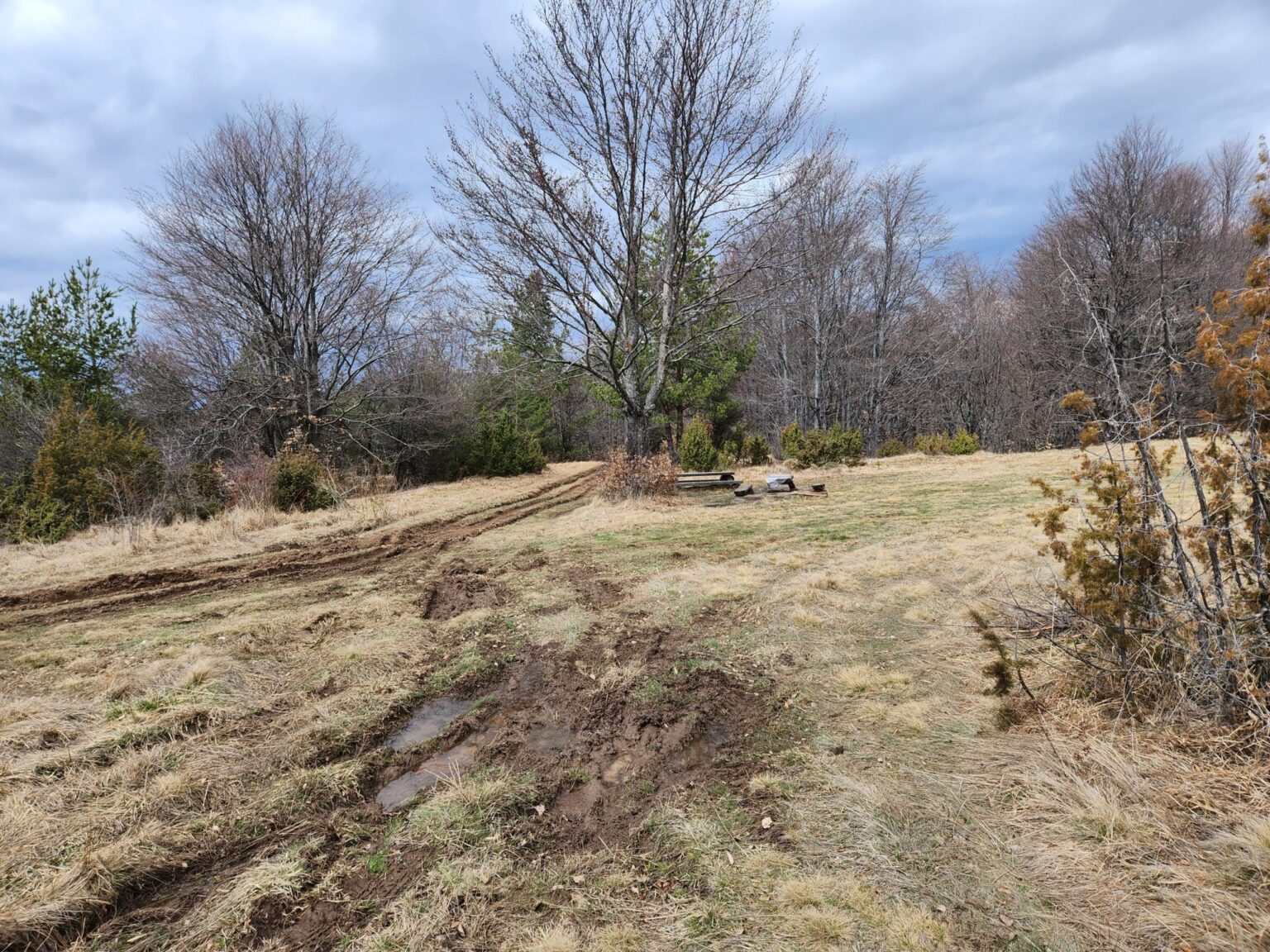 The Dark Side of Vitosha: The Eco-Trail from Chuypetlovo to Smilyo Shelter