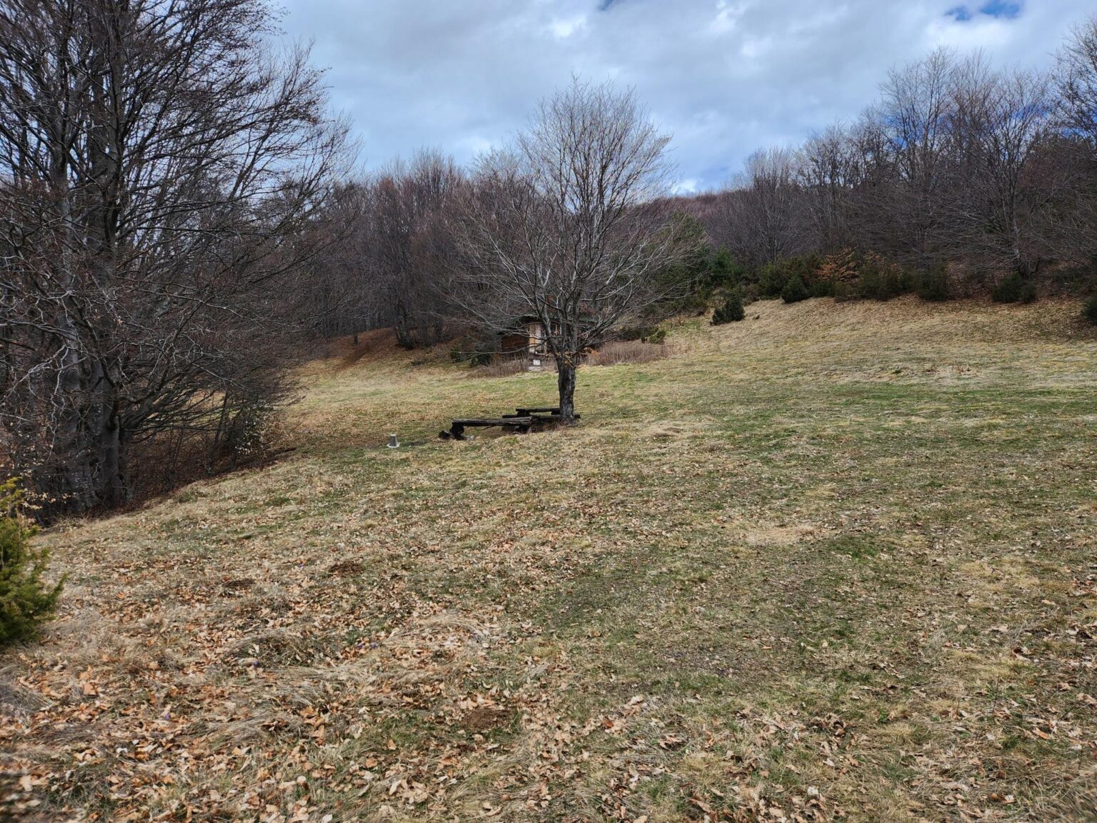 The Dark Side of Vitosha: The Eco-Trail from Chuypetlovo to Smilyo Shelter