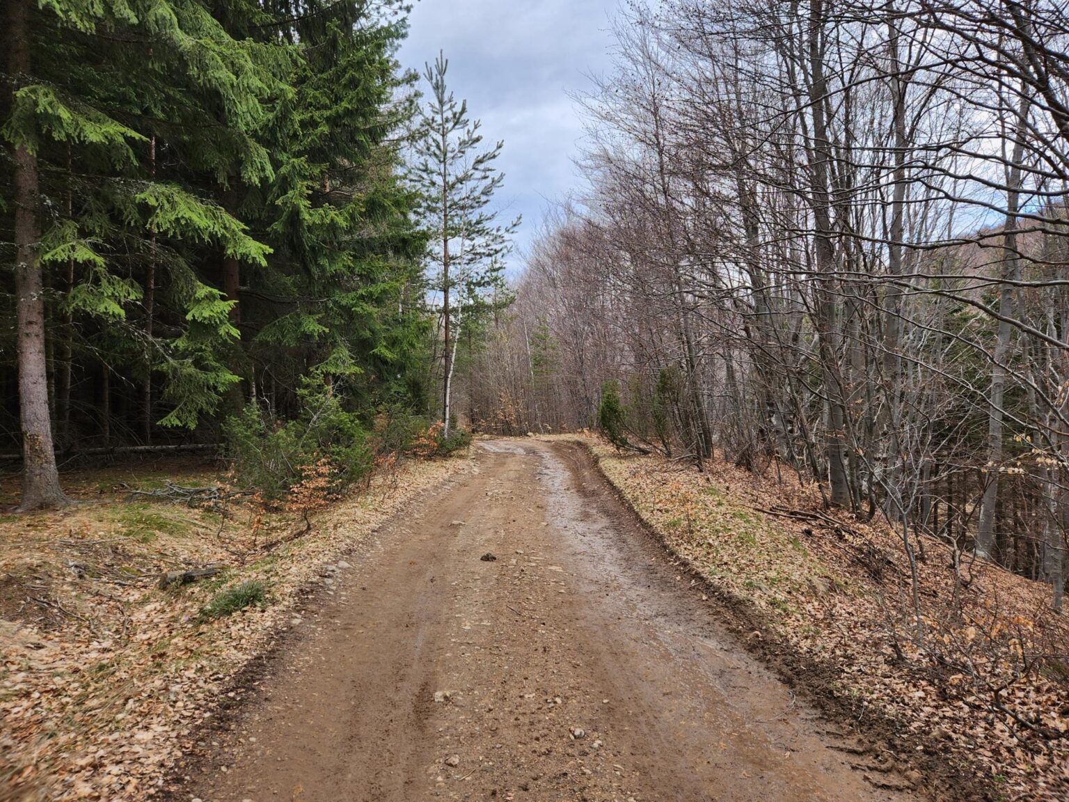 The Dark Side of Vitosha: The Eco-Trail from Chuypetlovo to Smilyo Shelter