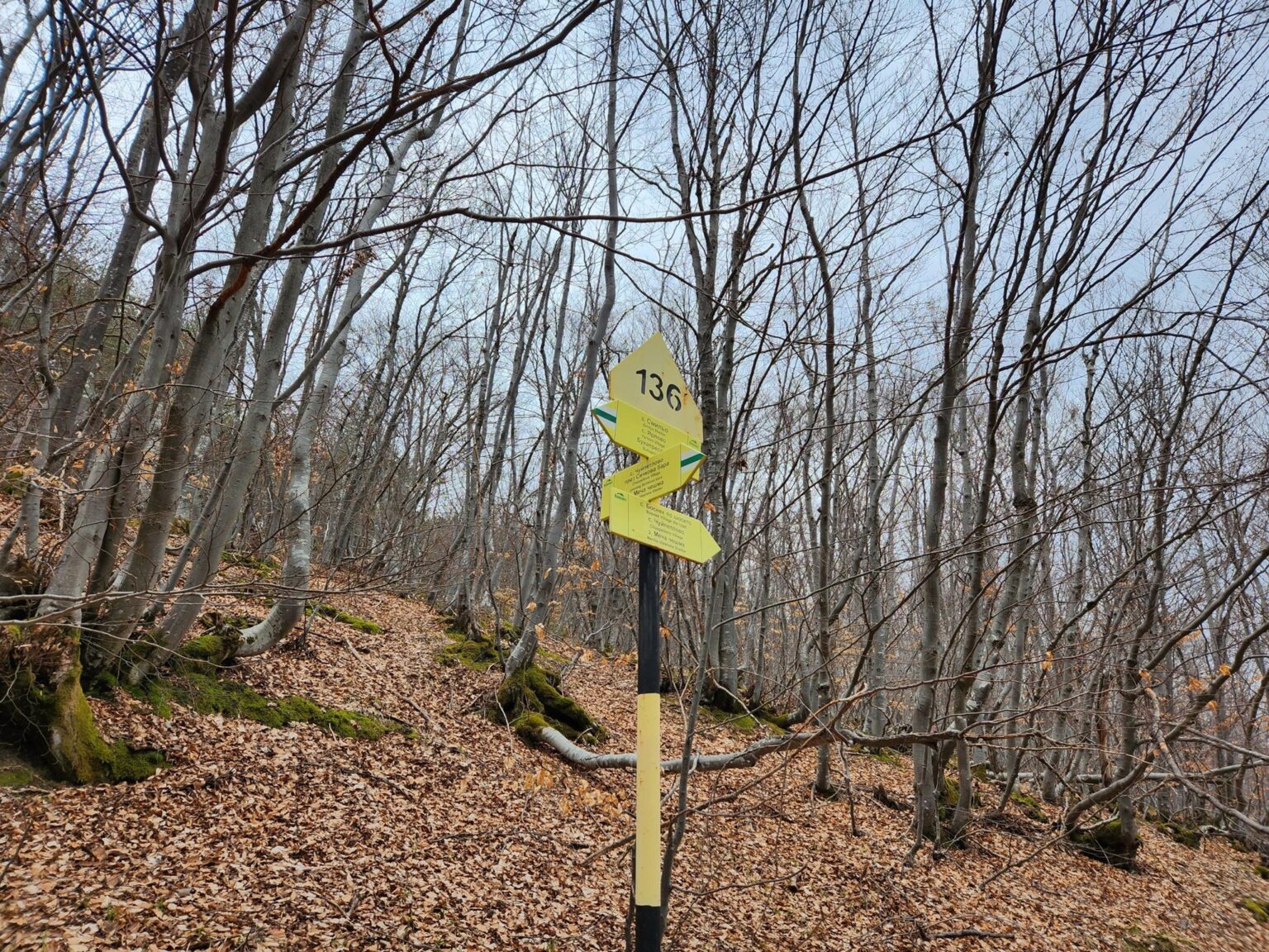 The Dark Side of Vitosha: The Eco-Trail from Chuypetlovo to Smilyo Shelter