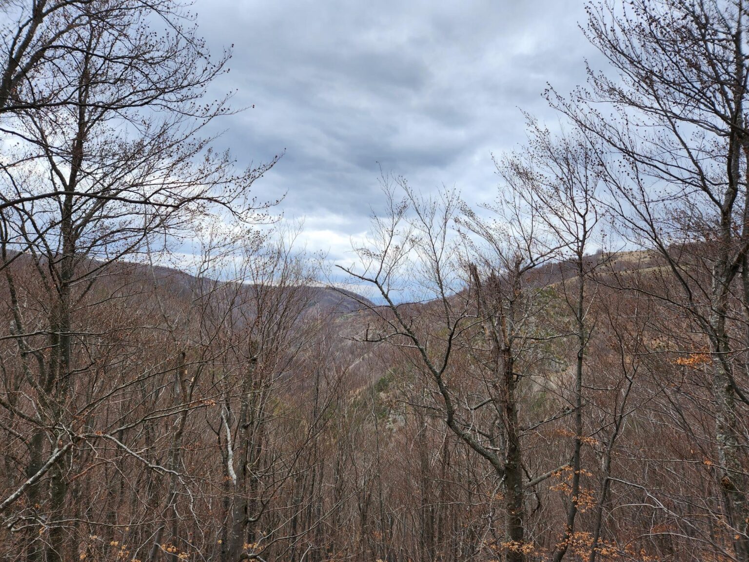 The Dark Side of Vitosha: The Eco-Trail from Chuypetlovo to Smilyo Shelter