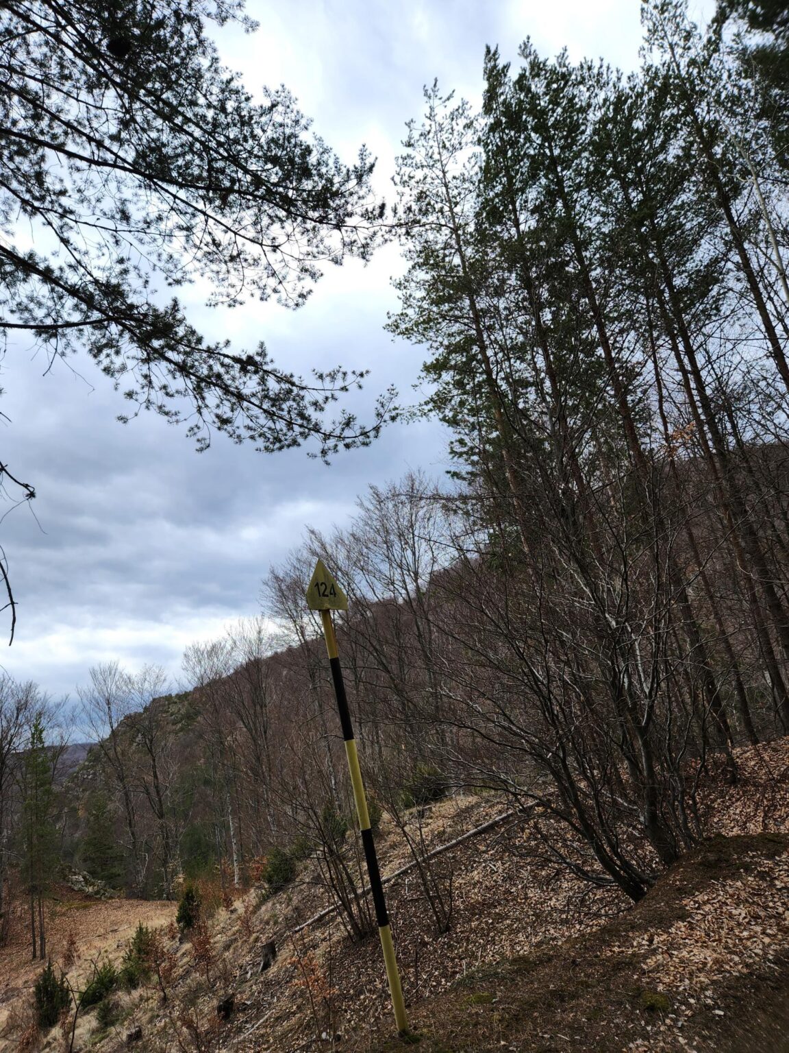 The Dark Side of Vitosha: The Eco-Trail from Chuypetlovo to Smilyo Shelter
