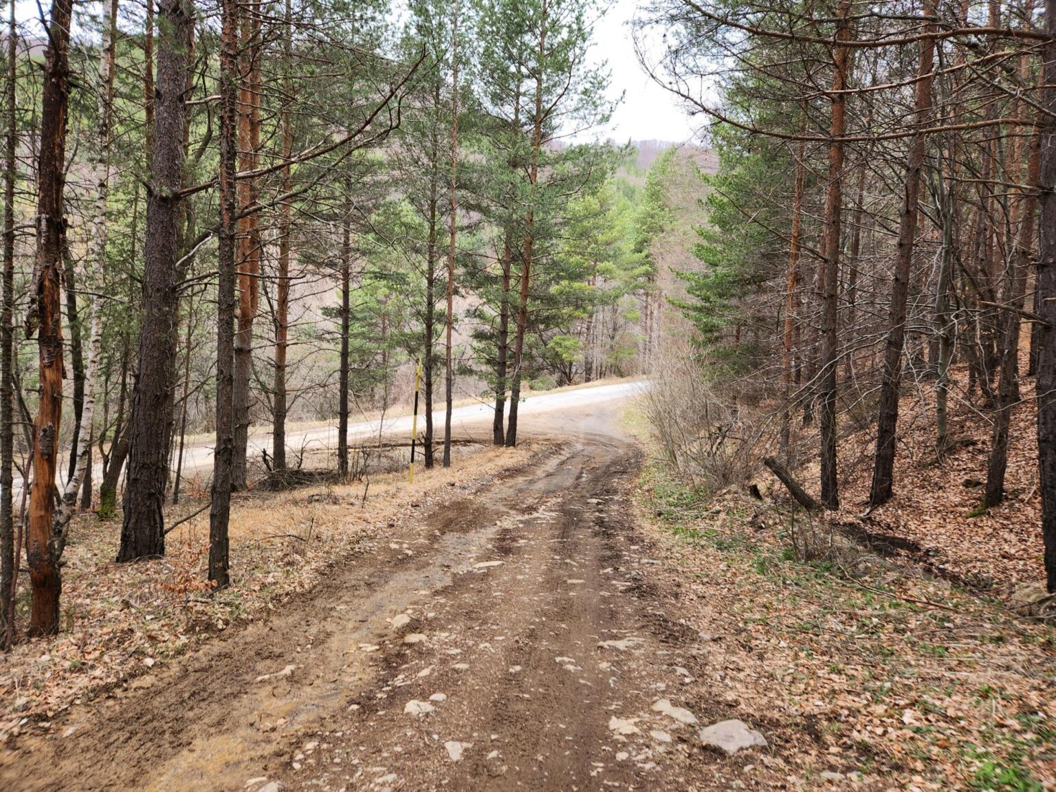 The Dark Side of Vitosha: The Eco-Trail from Chuypetlovo to Smilyo Shelter
