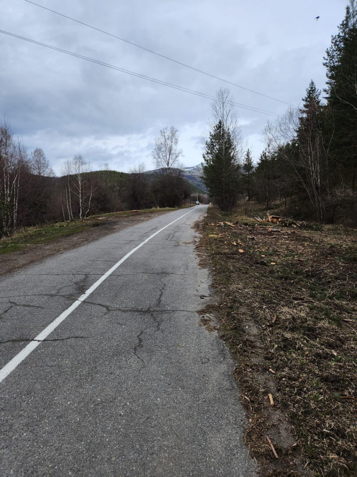 The Dark Side of Vitosha: The Eco-Trail from Chuypetlovo to Smilyo Shelter