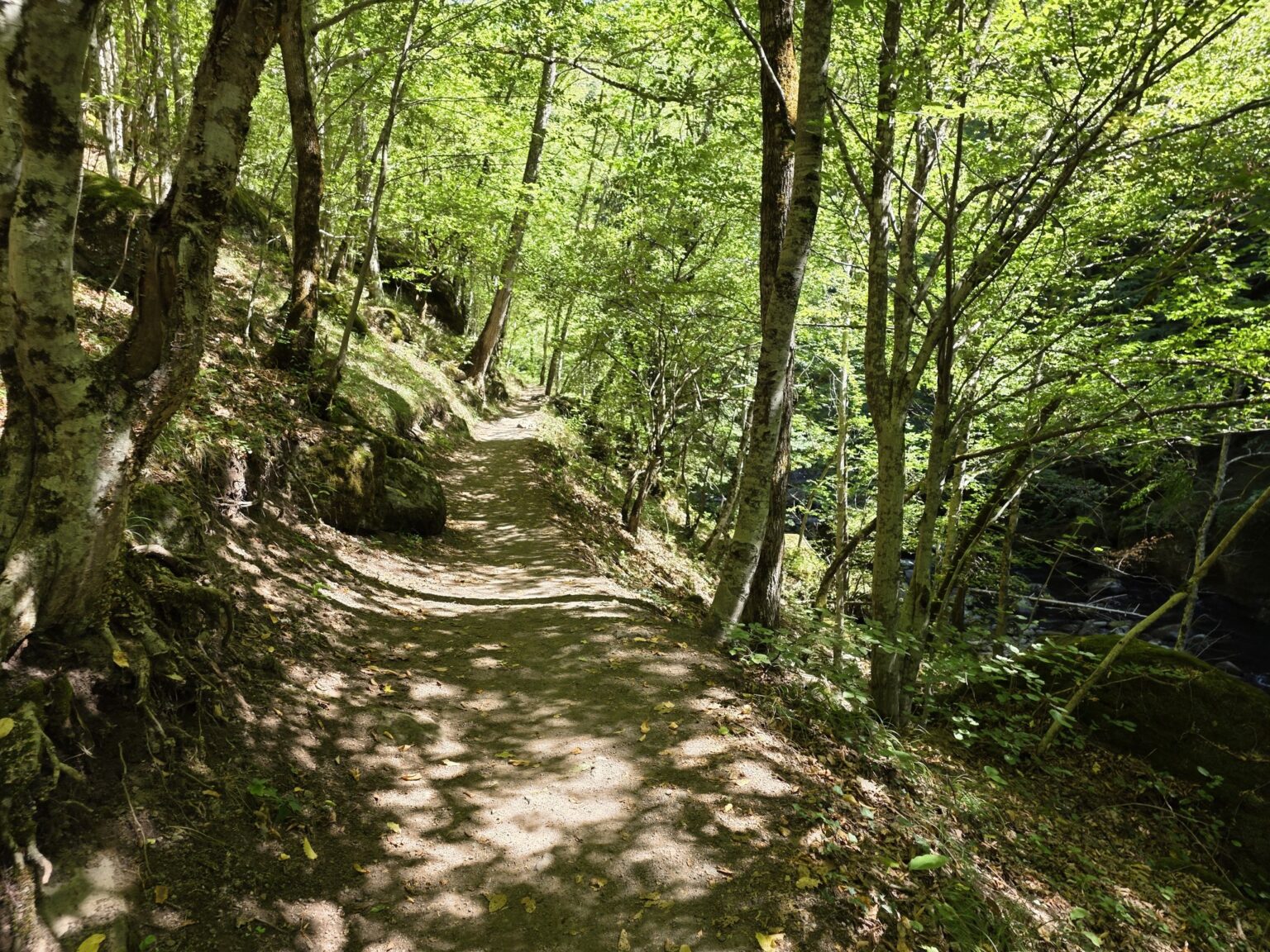 Struilitsa Eco-Trail, Bulgaria: Crossing the Bridges of the Devin River Canyon