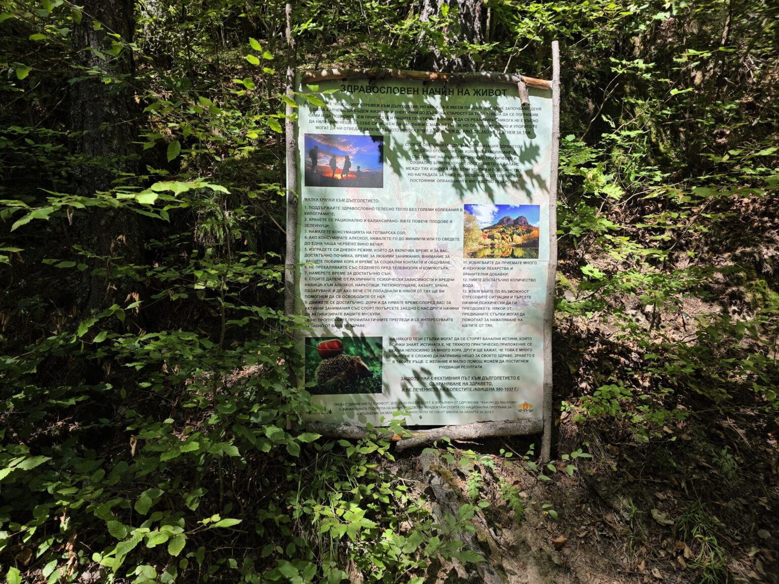 Struilitsa Eco-Trail, Bulgaria: Crossing the Bridges of the Devin River Canyon