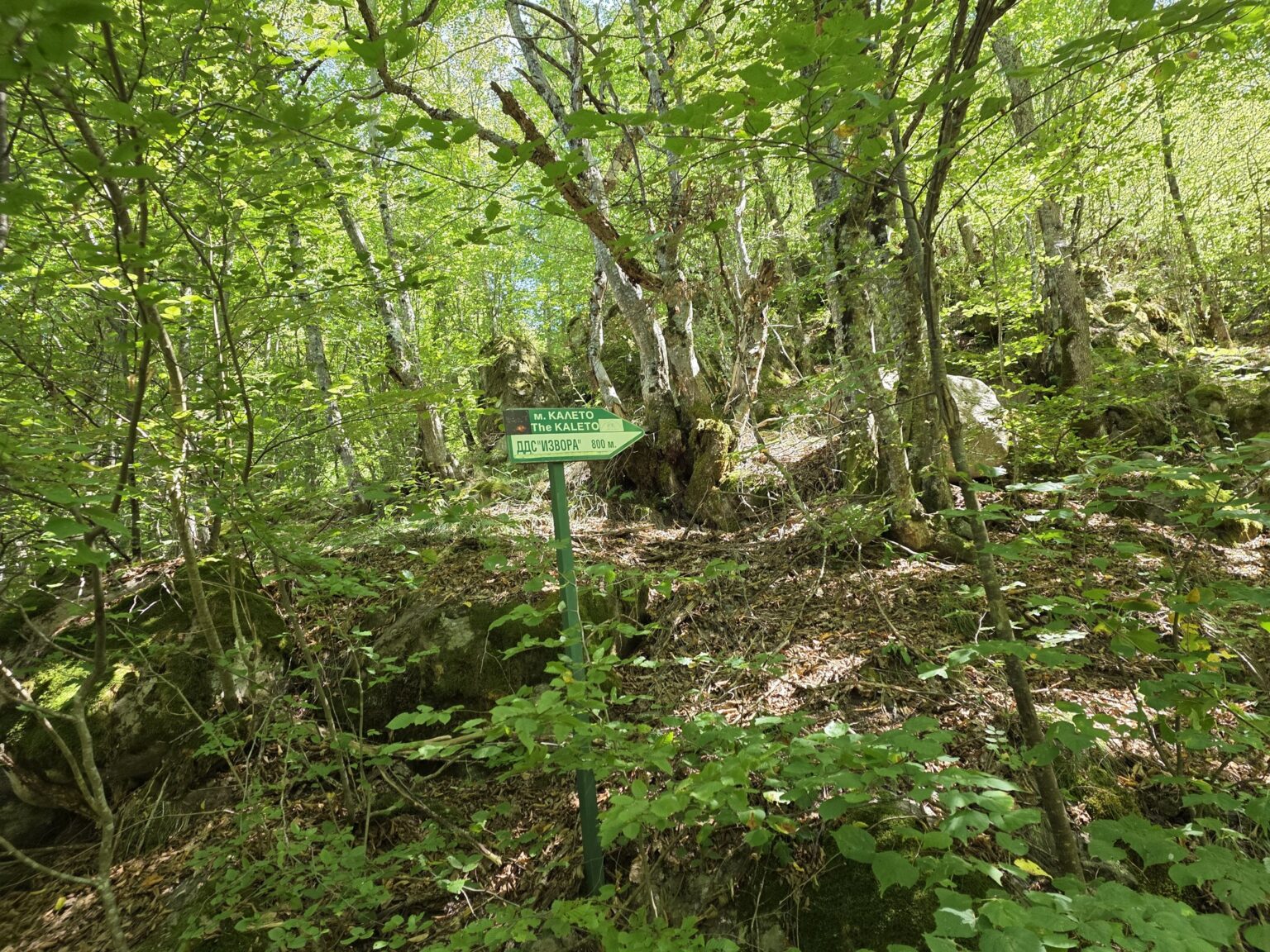 Struilitsa Eco-Trail, Bulgaria: Crossing the Bridges of the Devin River Canyon