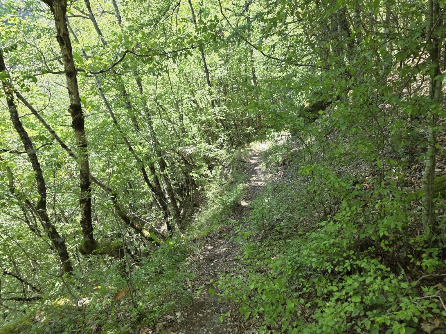 Struilitsa Eco-Trail, Bulgaria: Crossing the Bridges of the Devin River Canyon