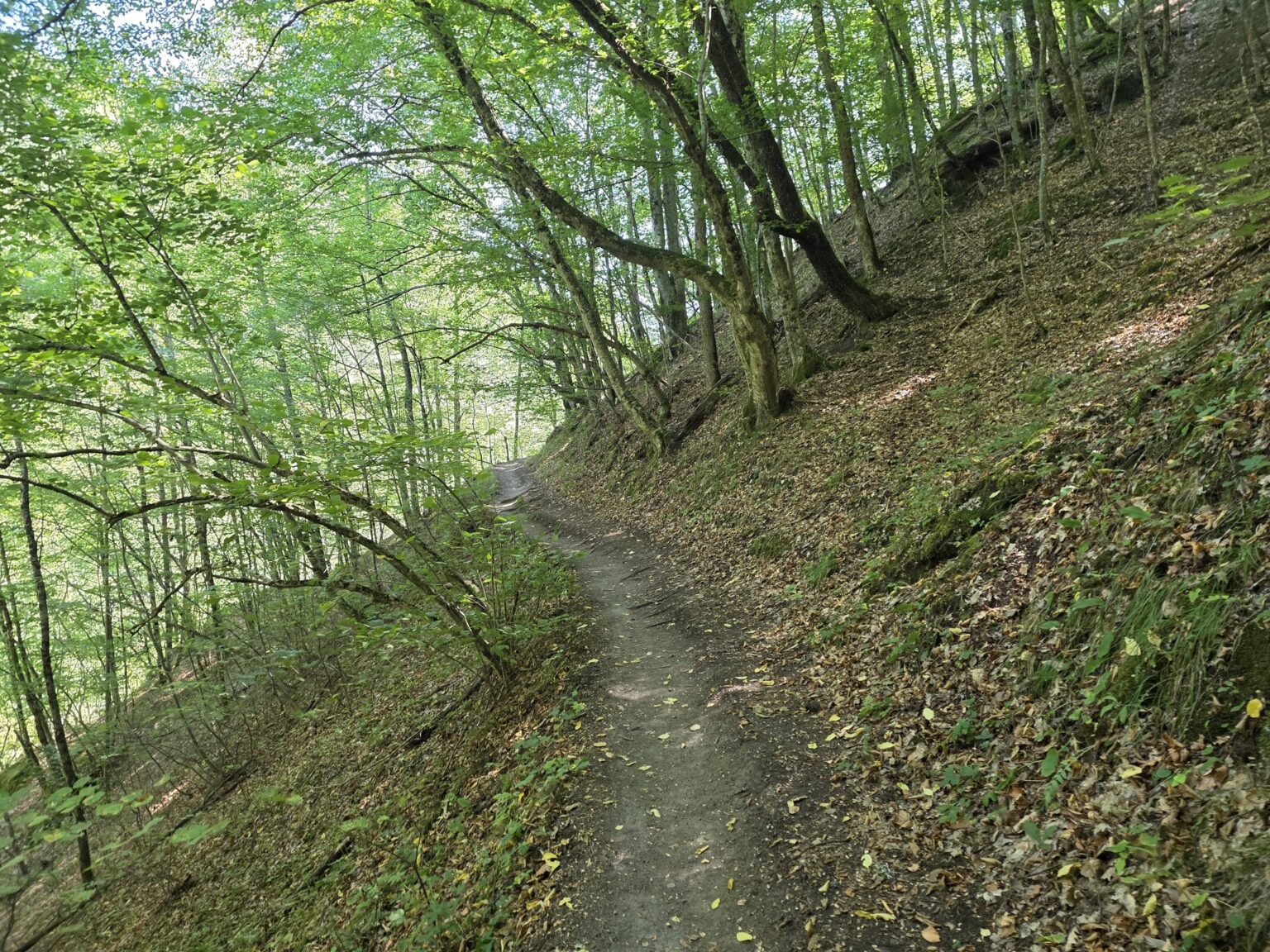 Struilitsa Eco-Trail, Bulgaria: Crossing the Bridges of the Devin River Canyon