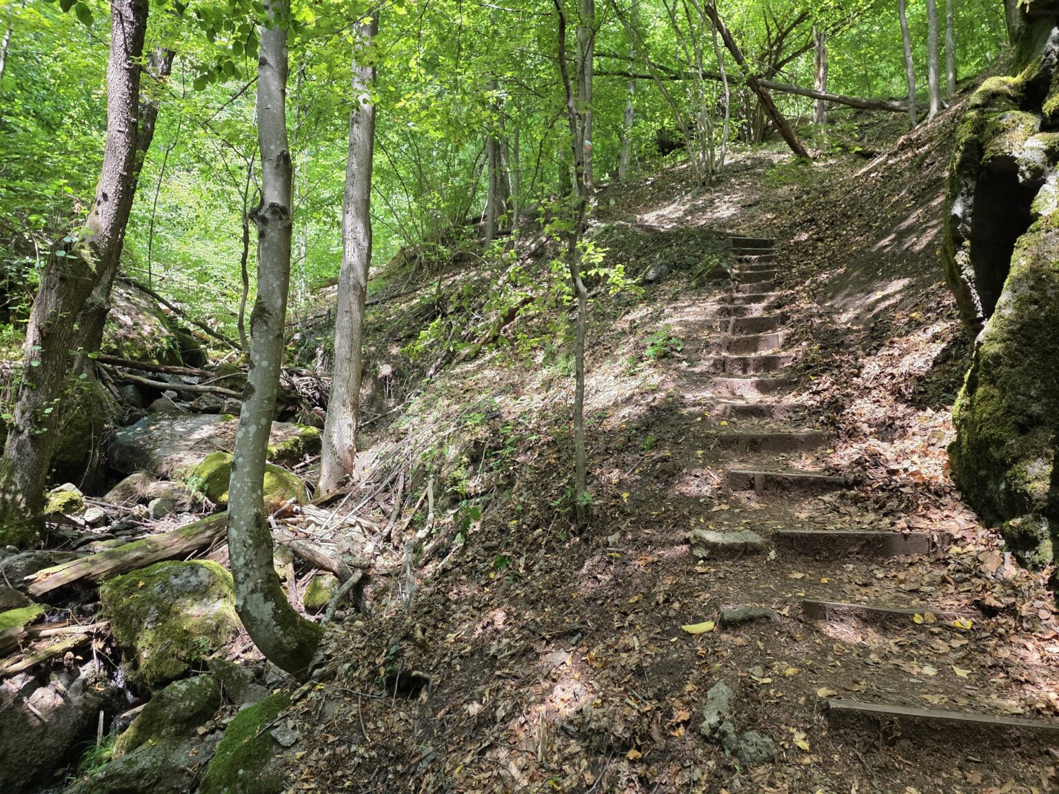 Struilitsa Eco-Trail, Bulgaria: Crossing the Bridges of the Devin River Canyon