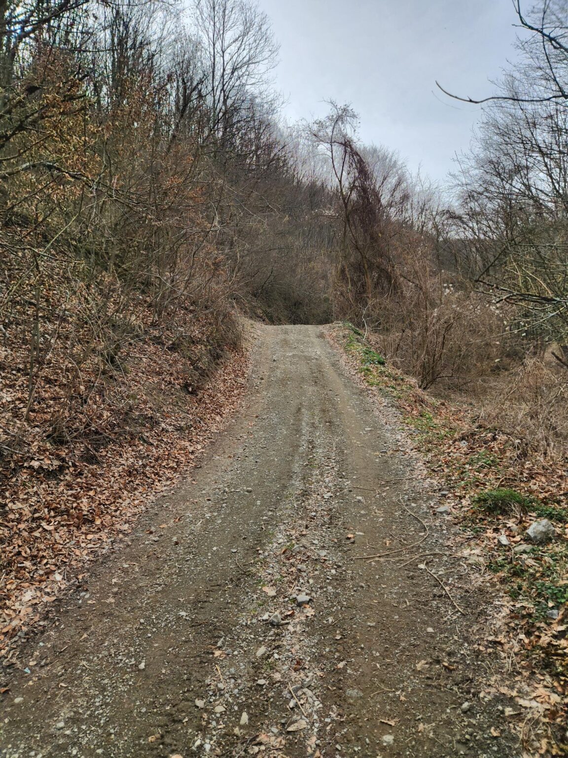 Esperanto Eco Trail to Bankya – A Half-Day Escape from Sofia