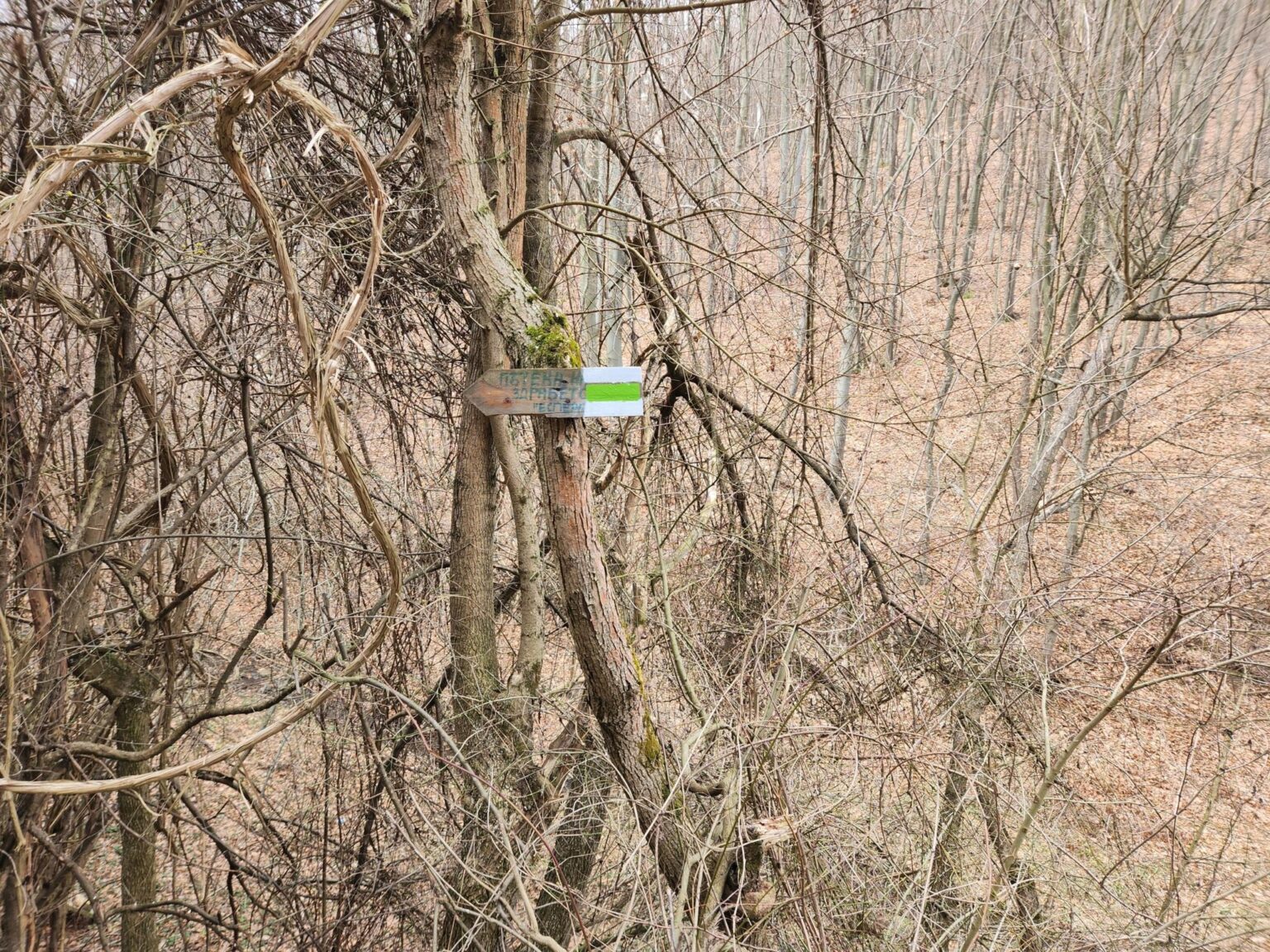 Esperanto Eco Trail to Bankya – A Half-Day Escape from Sofia