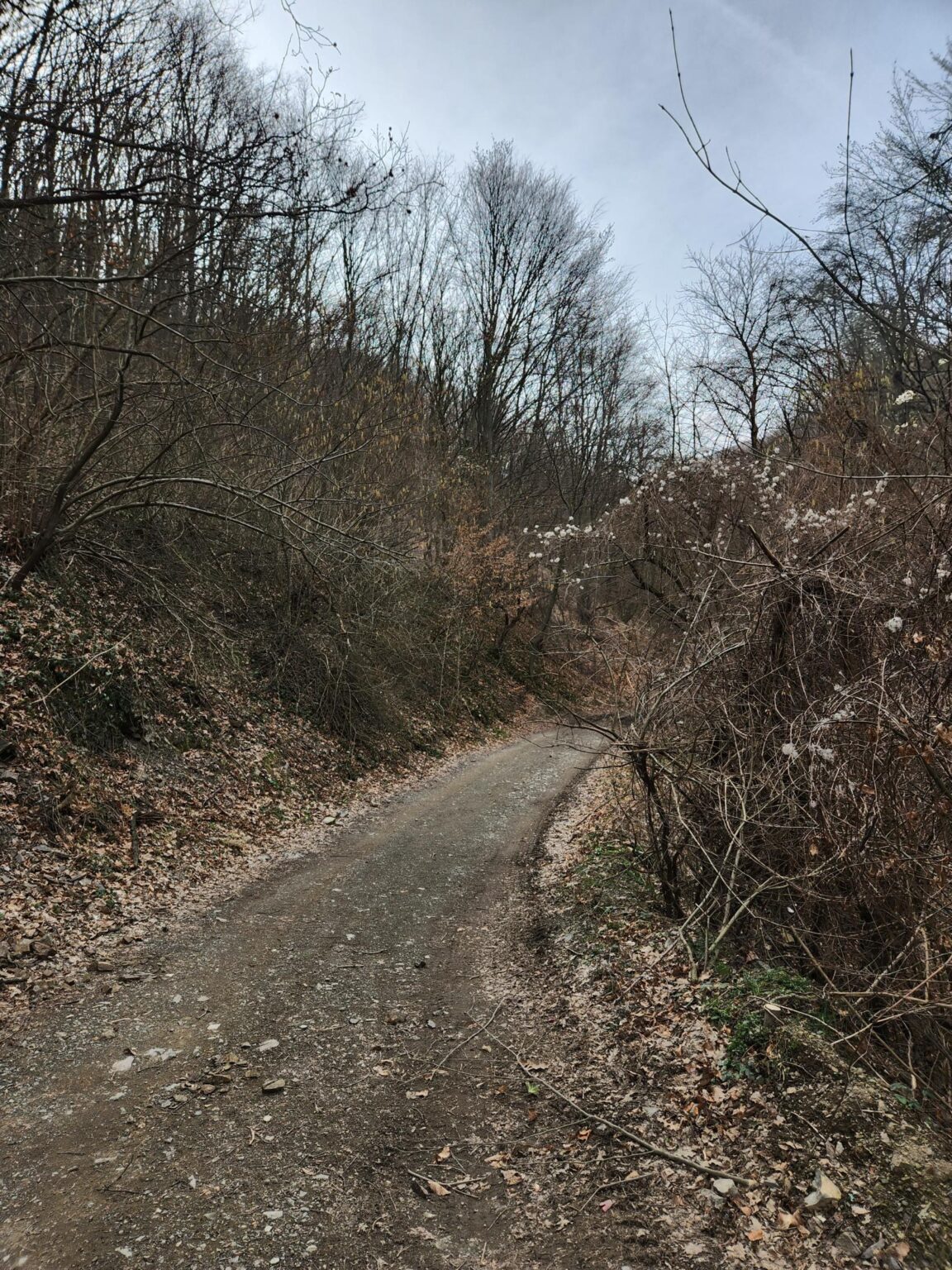 Esperanto Eco Trail to Bankya – A Half-Day Escape from Sofia