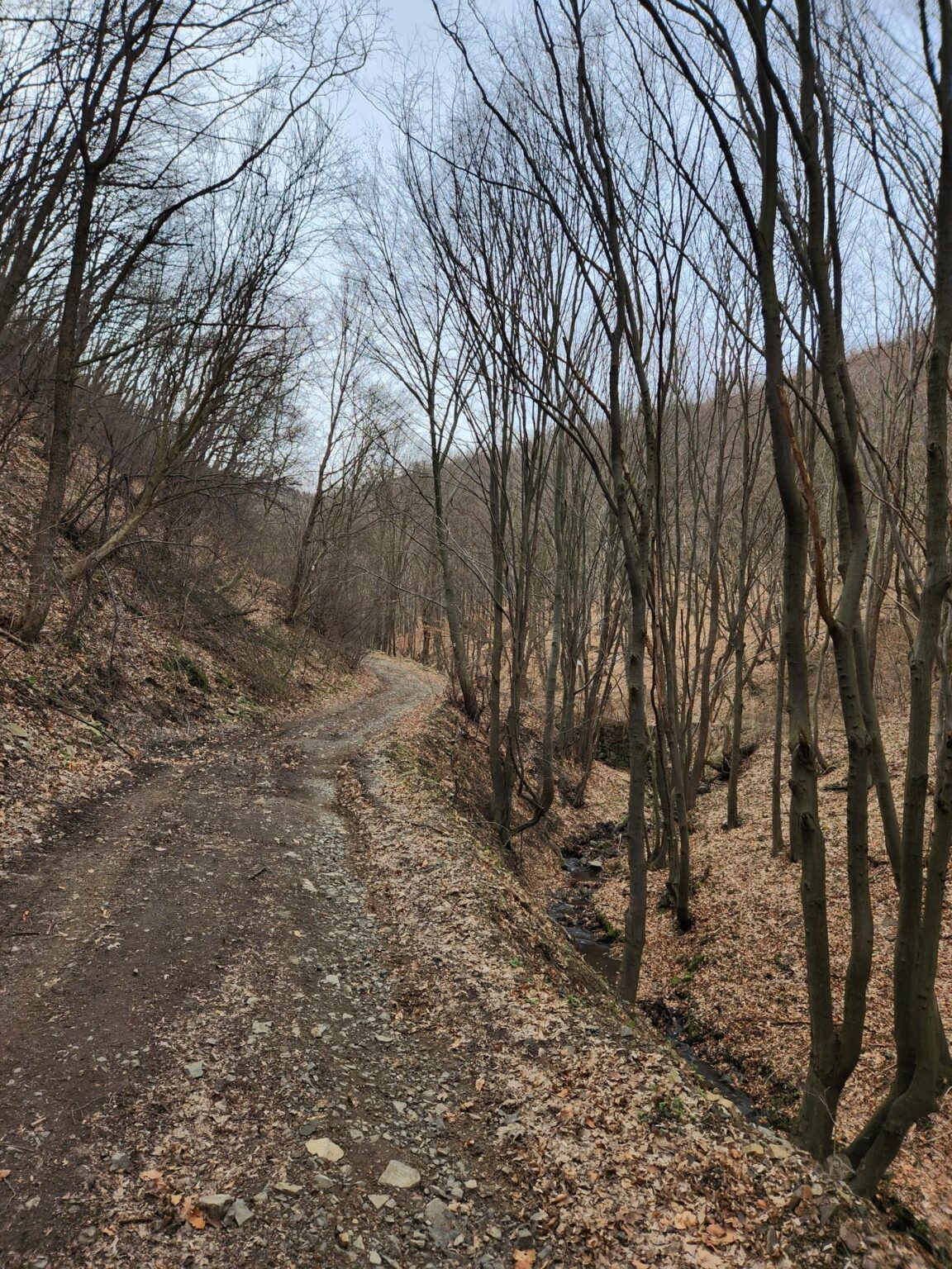 Esperanto Eco Trail to Bankya – A Half-Day Escape from Sofia