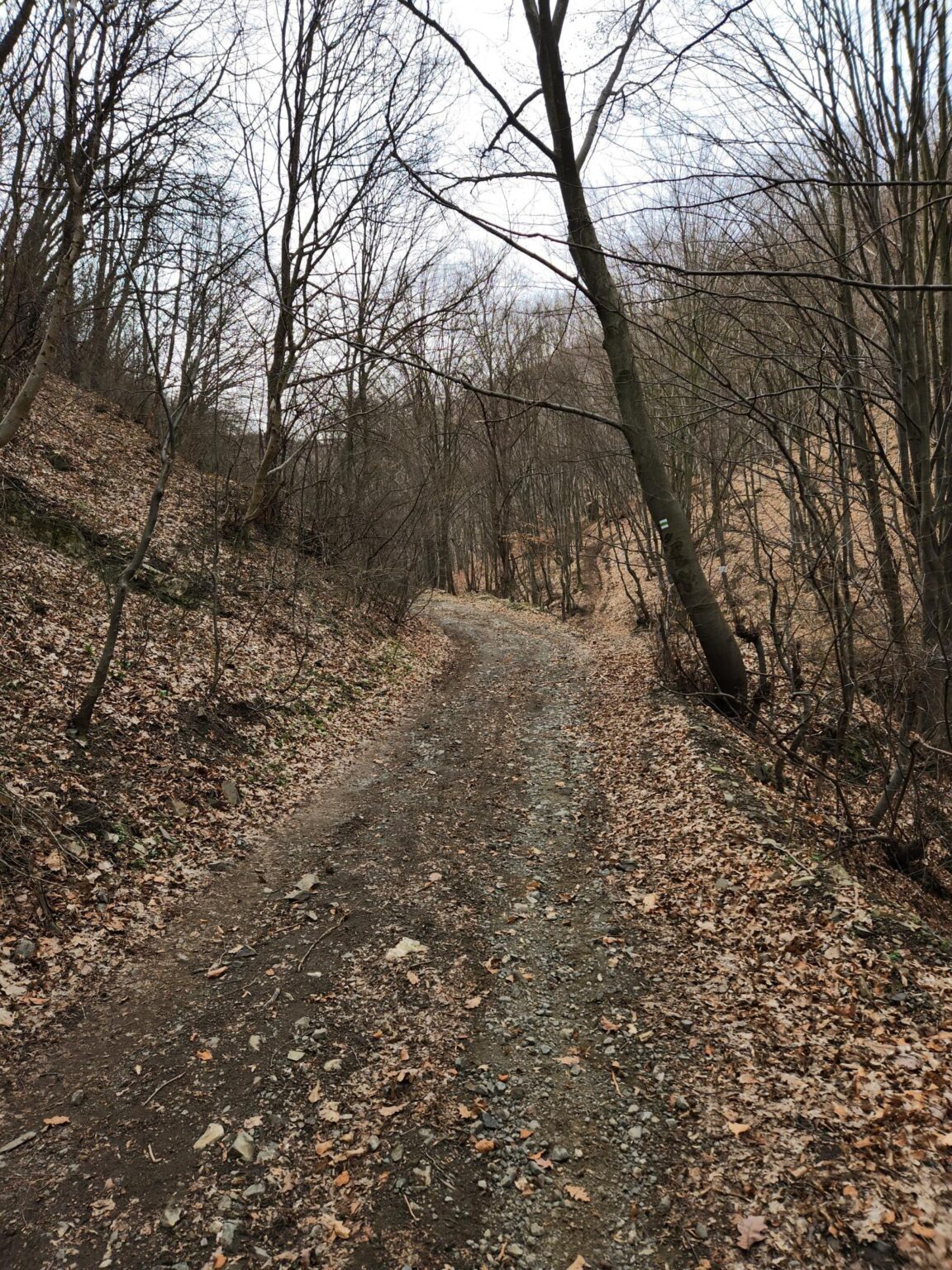 Esperanto Eco Trail to Bankya – A Half-Day Escape from Sofia