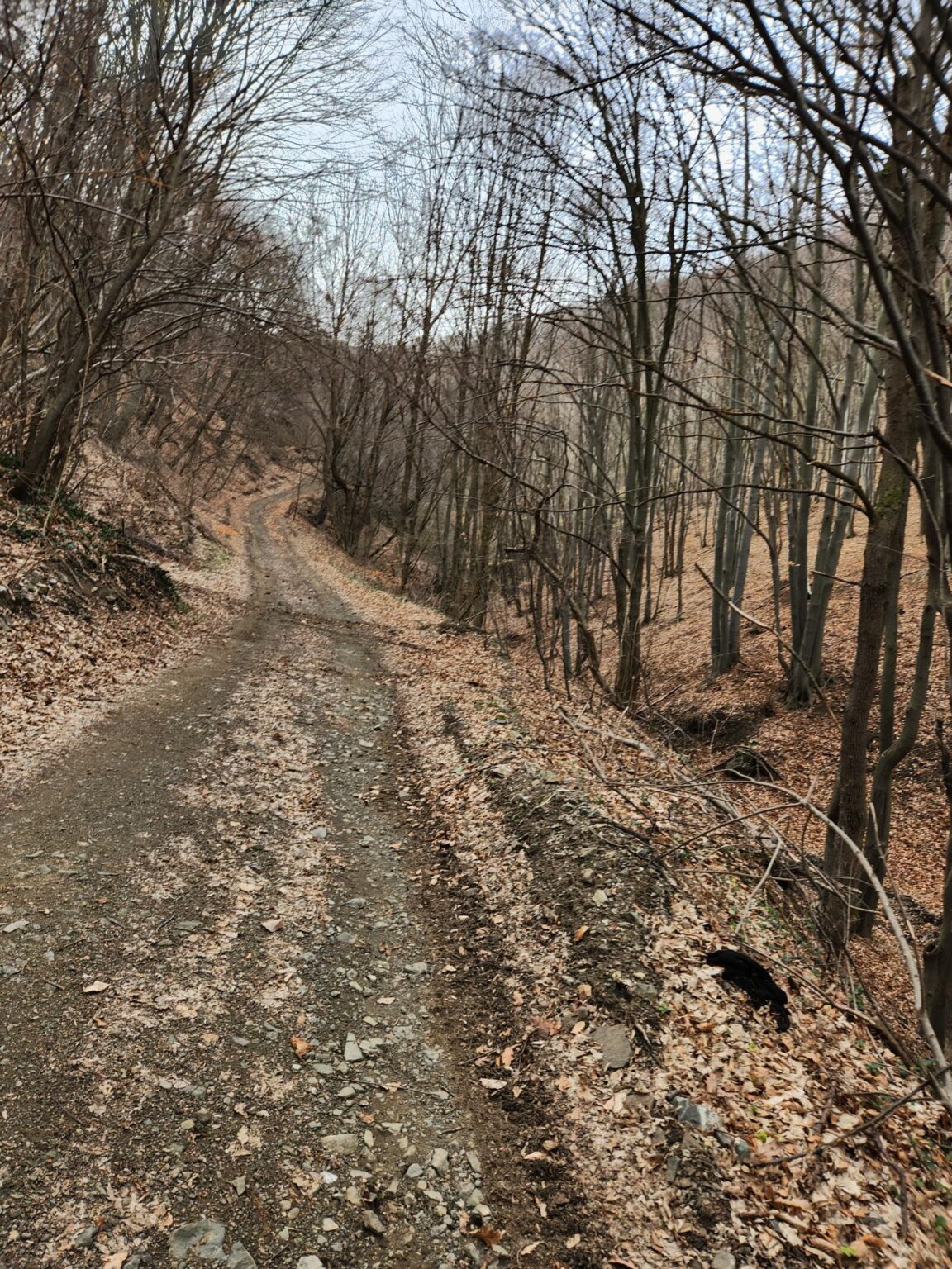 Esperanto Eco Trail to Bankya – A Half-Day Escape from Sofia