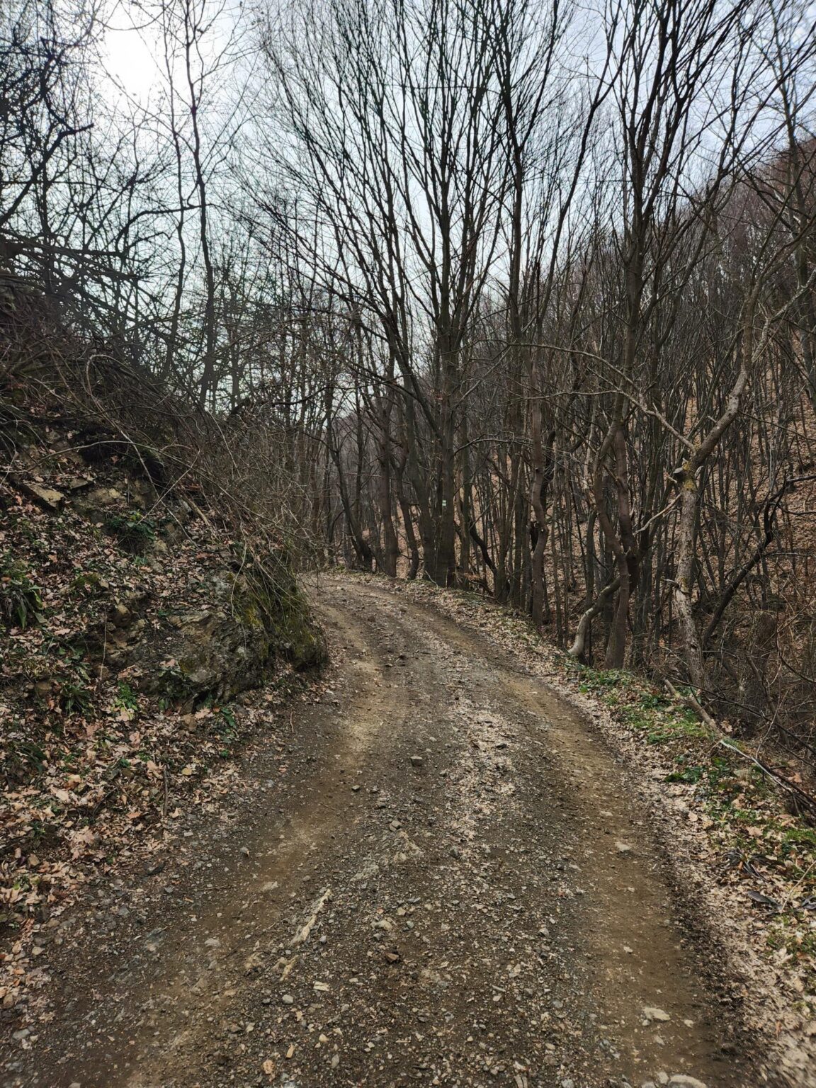 Esperanto Eco Trail to Bankya – A Half-Day Escape from Sofia