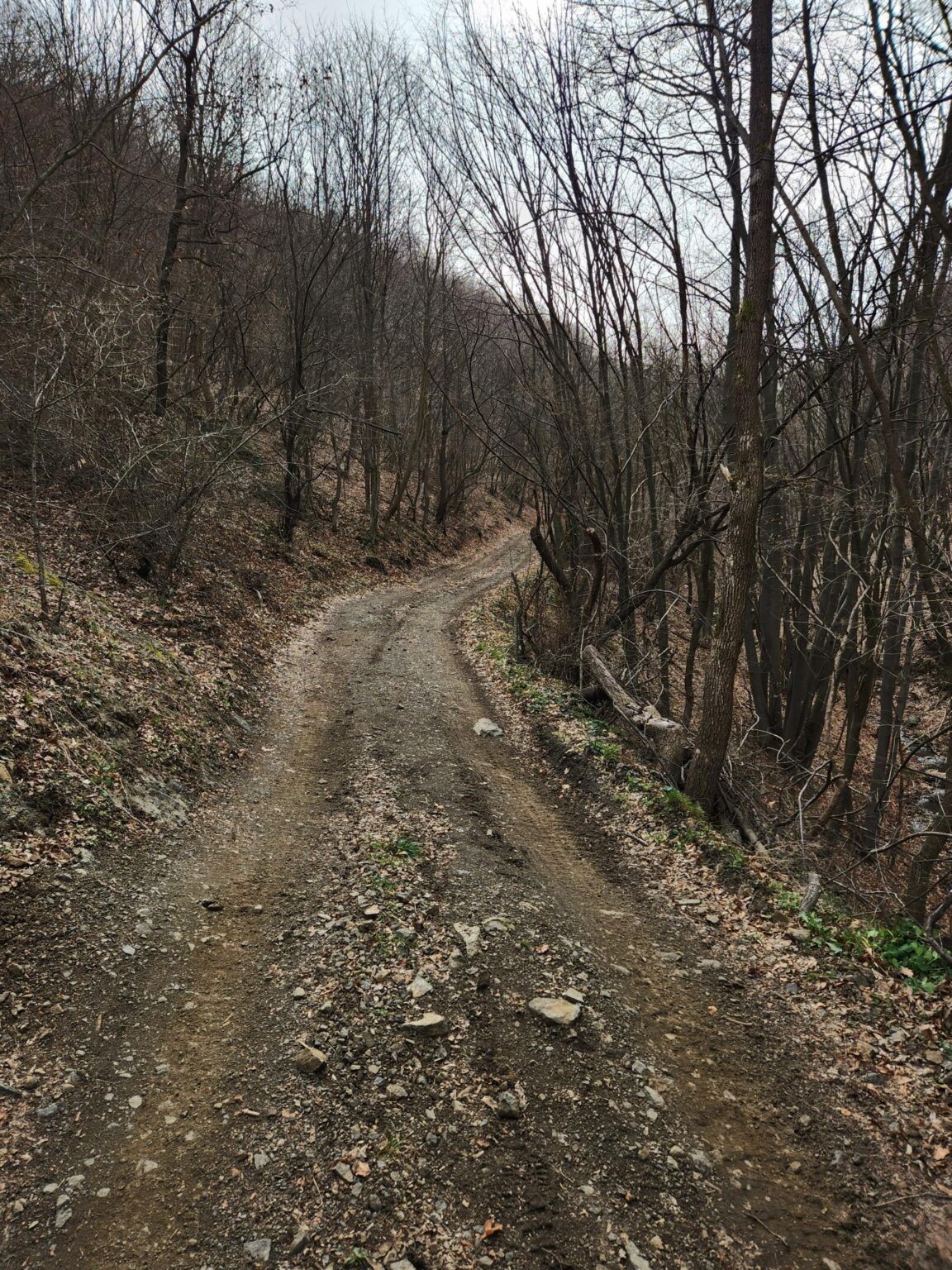 Esperanto Eco Trail to Bankya – A Half-Day Escape from Sofia