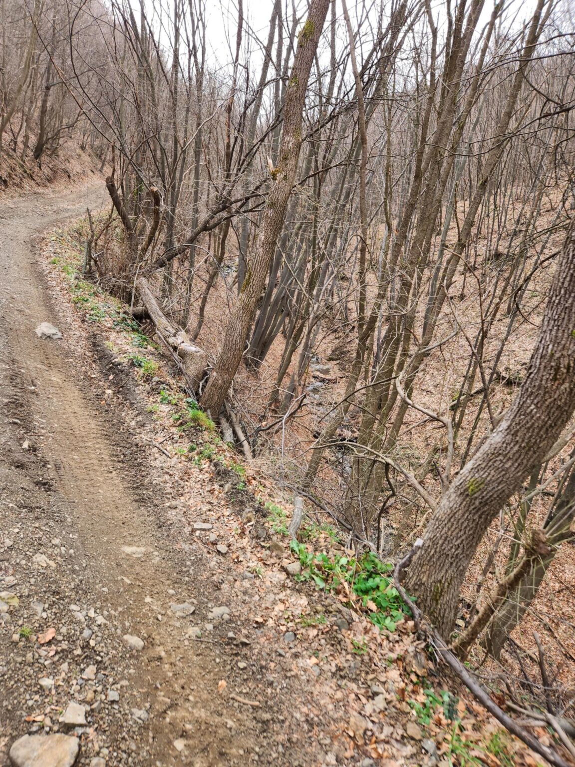 Esperanto Eco Trail to Bankya – A Half-Day Escape from Sofia