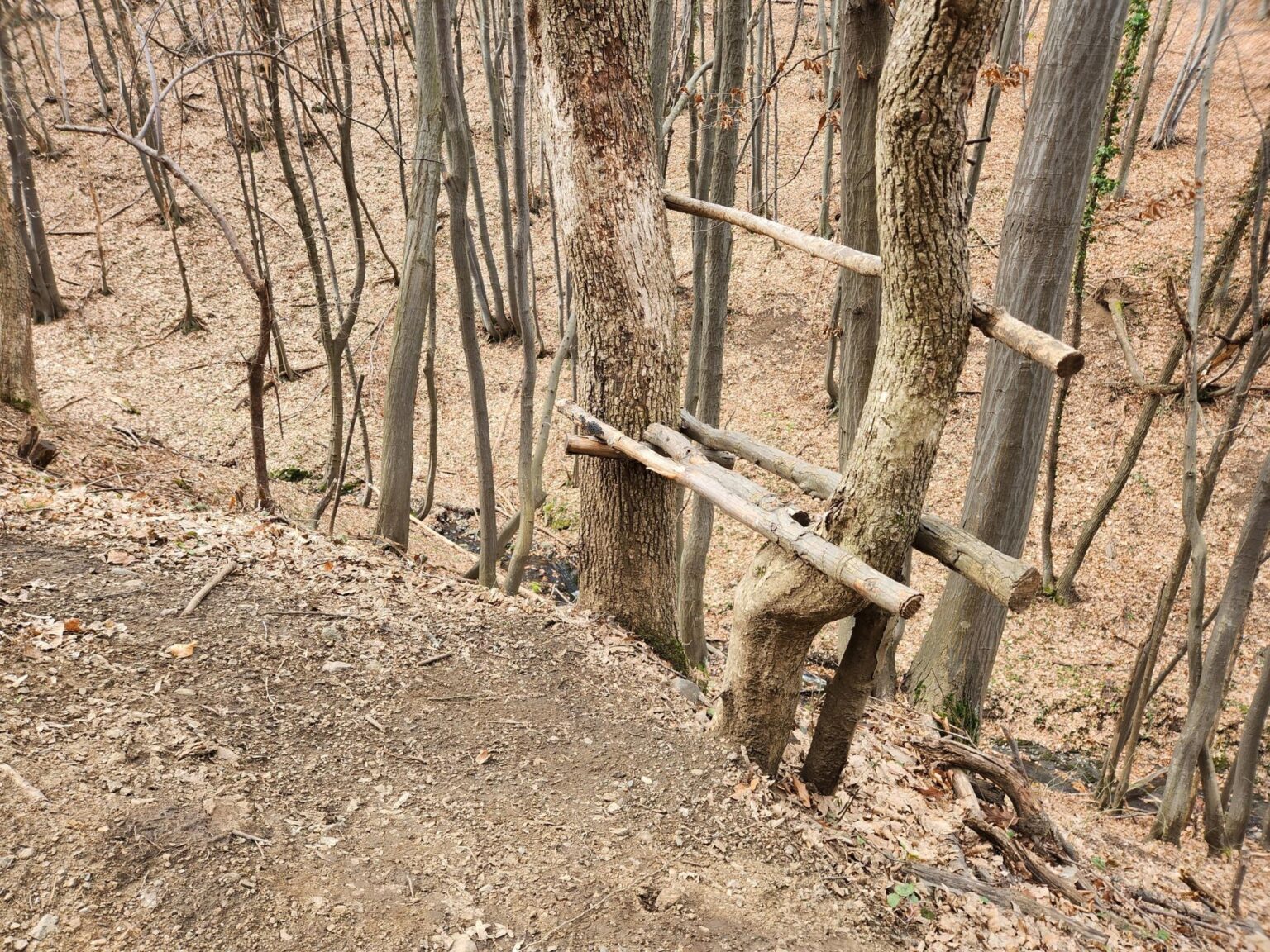 Esperanto Eco Trail to Bankya – A Half-Day Escape from Sofia