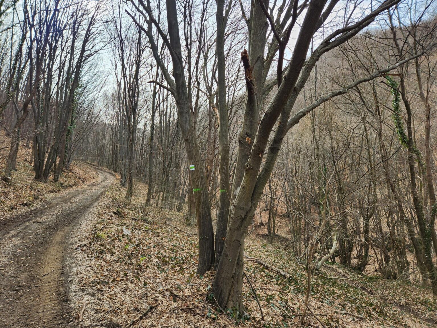 Esperanto Eco Trail to Bankya – A Half-Day Escape from Sofia
