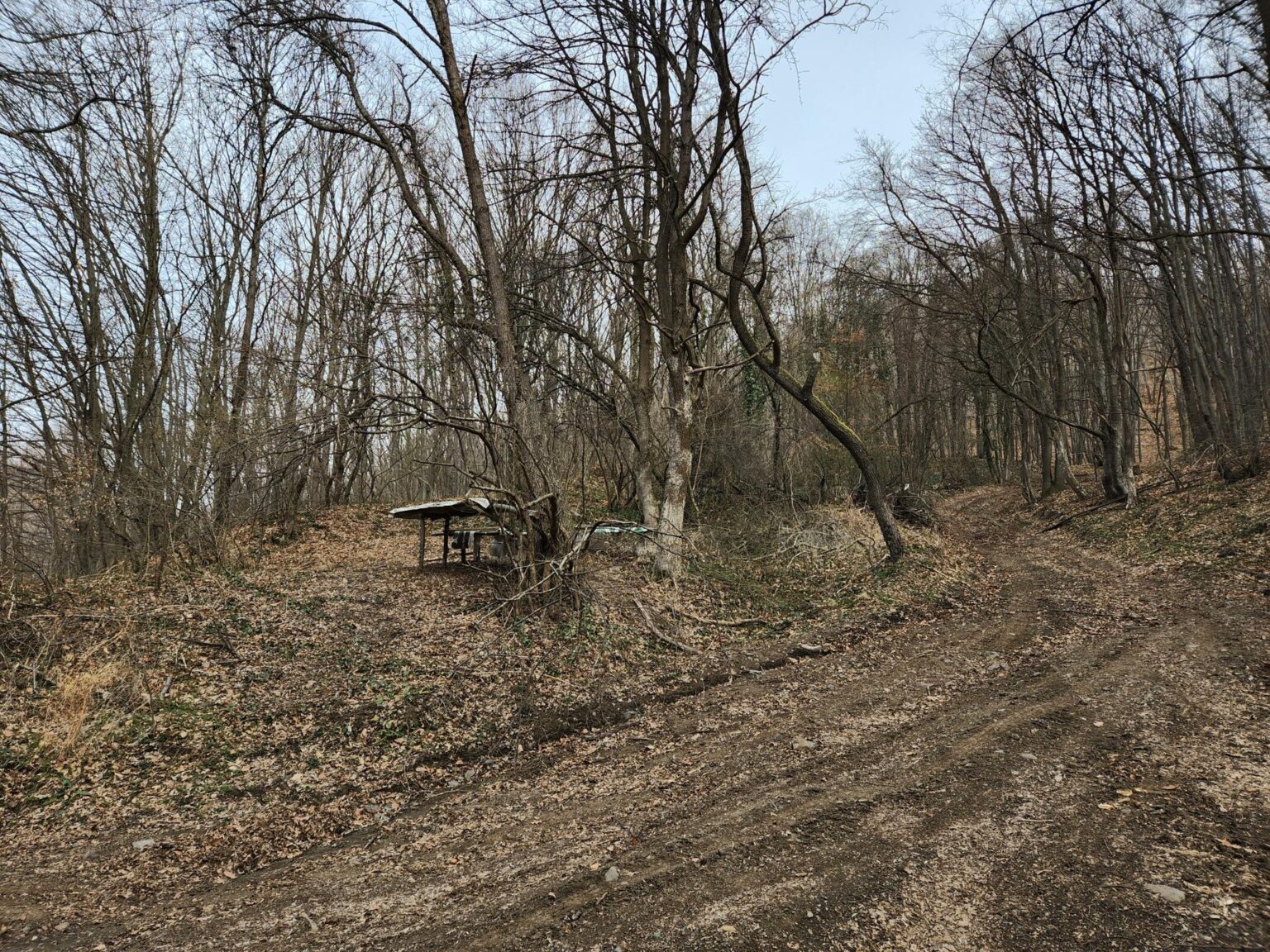 Esperanto Eco Trail to Bankya – A Half-Day Escape from Sofia