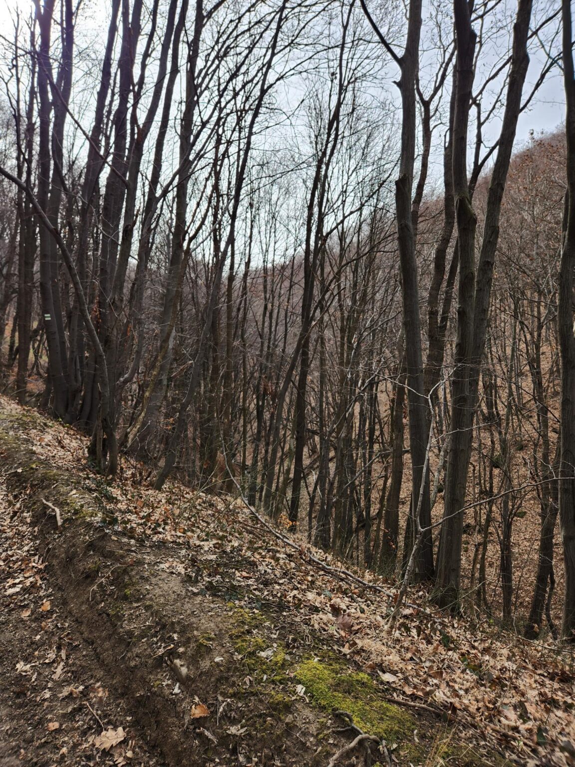 Esperanto Eco Trail to Bankya – A Half-Day Escape from Sofia