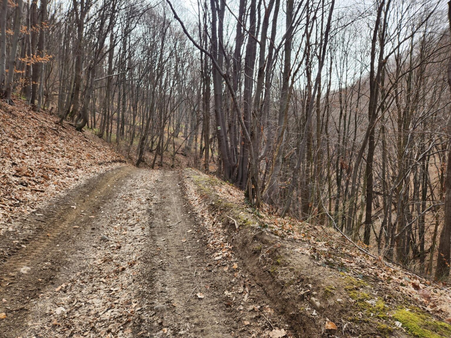 Esperanto Eco Trail to Bankya – A Half-Day Escape from Sofia