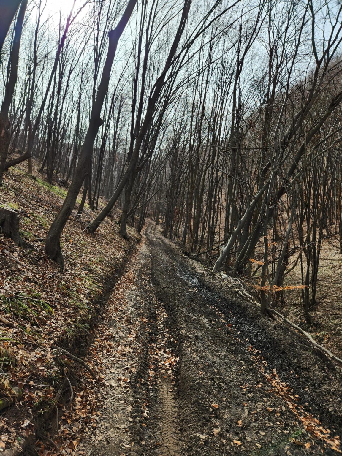 Esperanto Eco Trail to Bankya – A Half-Day Escape from Sofia