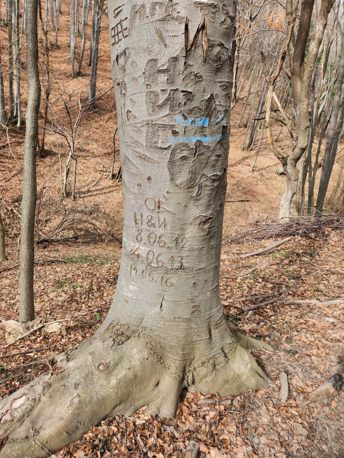 Esperanto Eco Trail to Bankya – A Half-Day Escape from Sofia