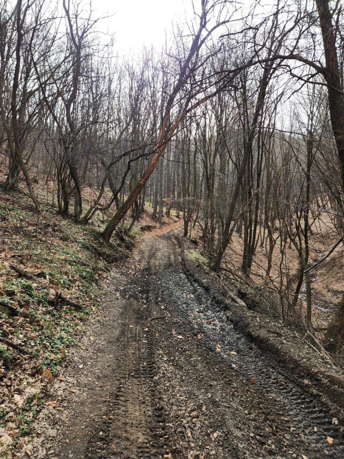 Esperanto Eco Trail to Bankya – A Half-Day Escape from Sofia