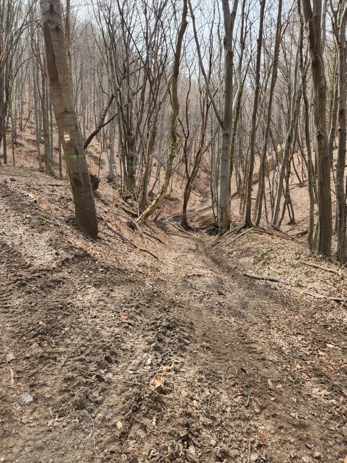 Esperanto Eco Trail to Bankya – A Half-Day Escape from Sofia
