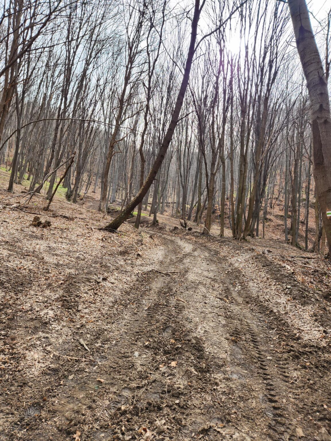 Esperanto Eco Trail to Bankya – A Half-Day Escape from Sofia
